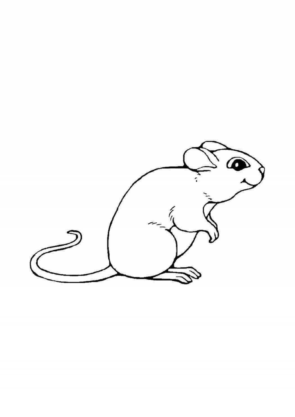 Coloring cute rodent