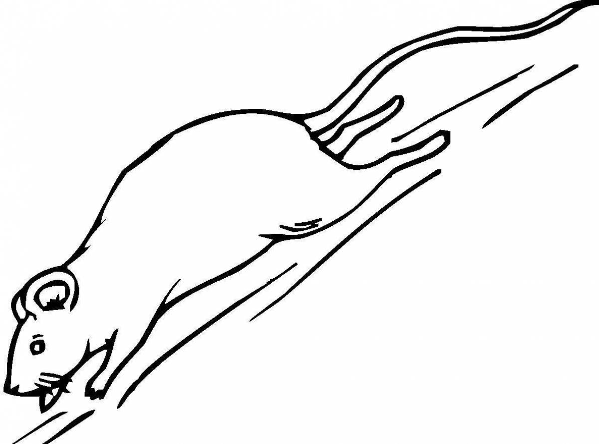 Coloring book smart rodent