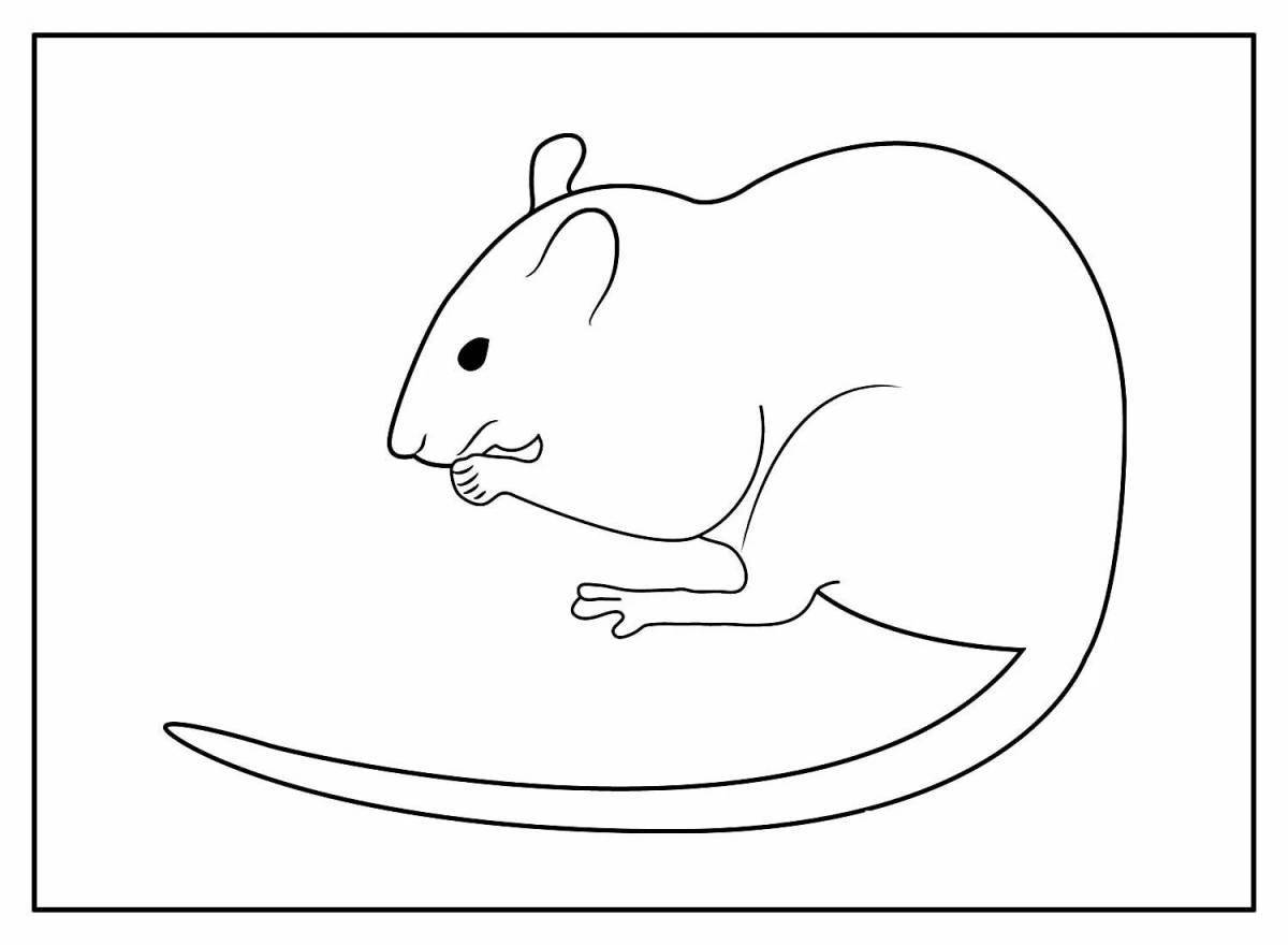 Funny coloring of rodents