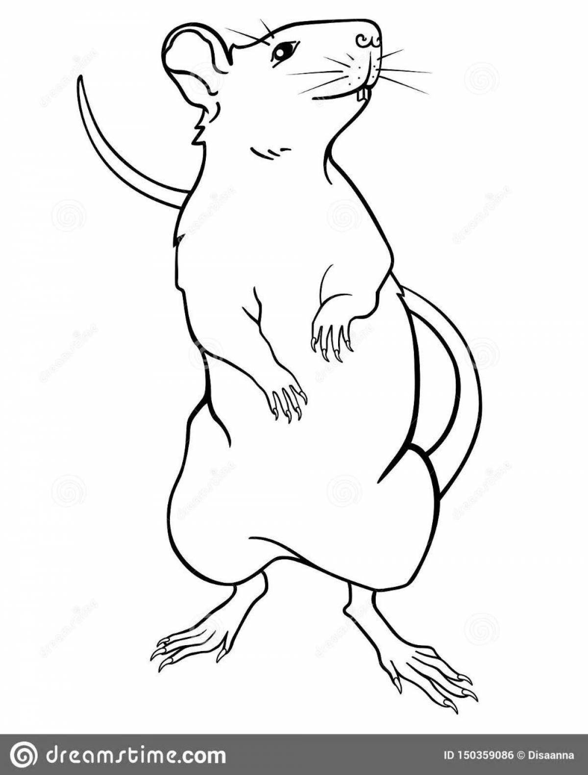 Amusing rodent coloring book