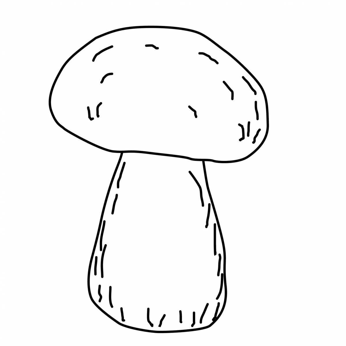 Photo Coloring book magic boletus