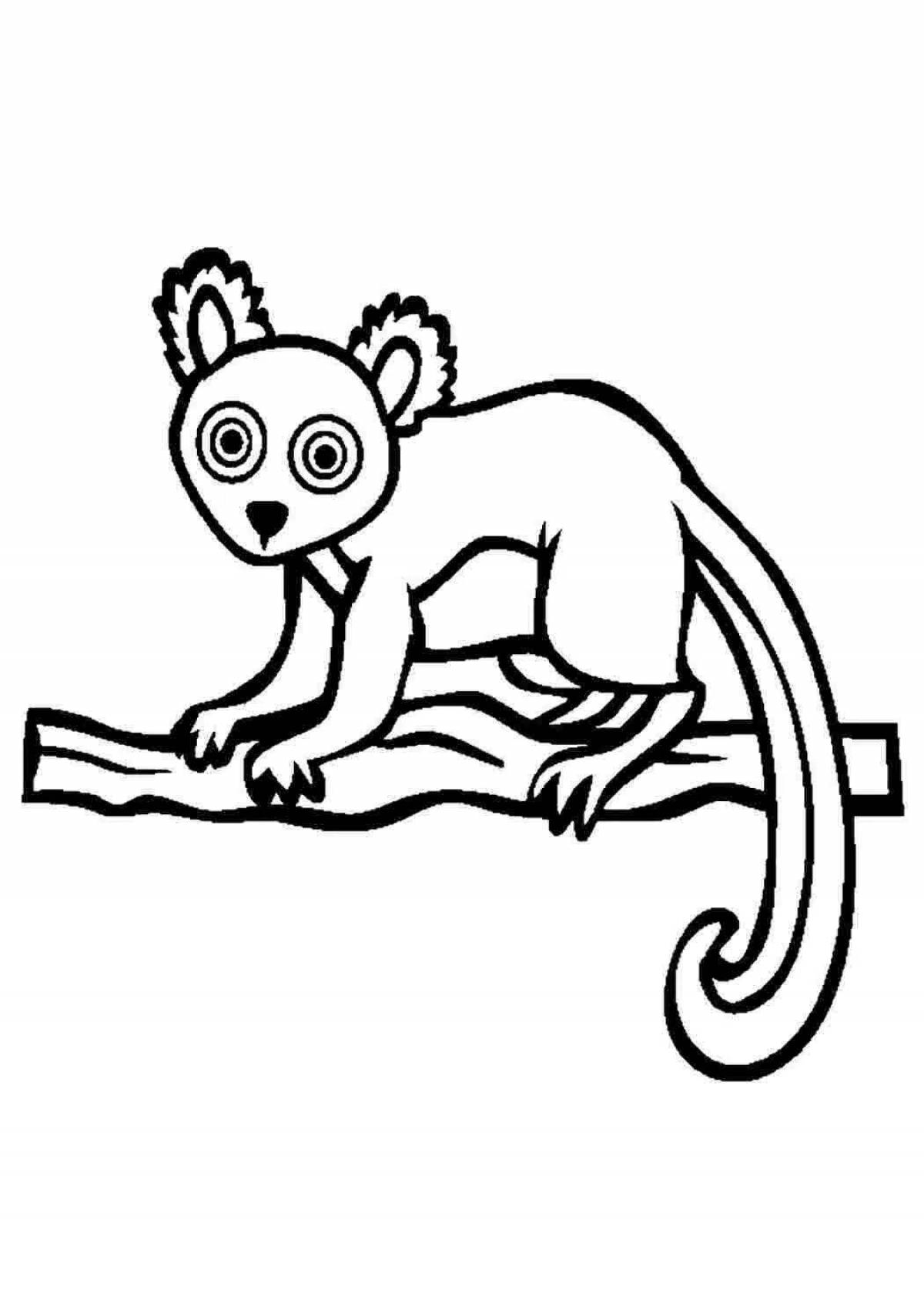 Lemur #4