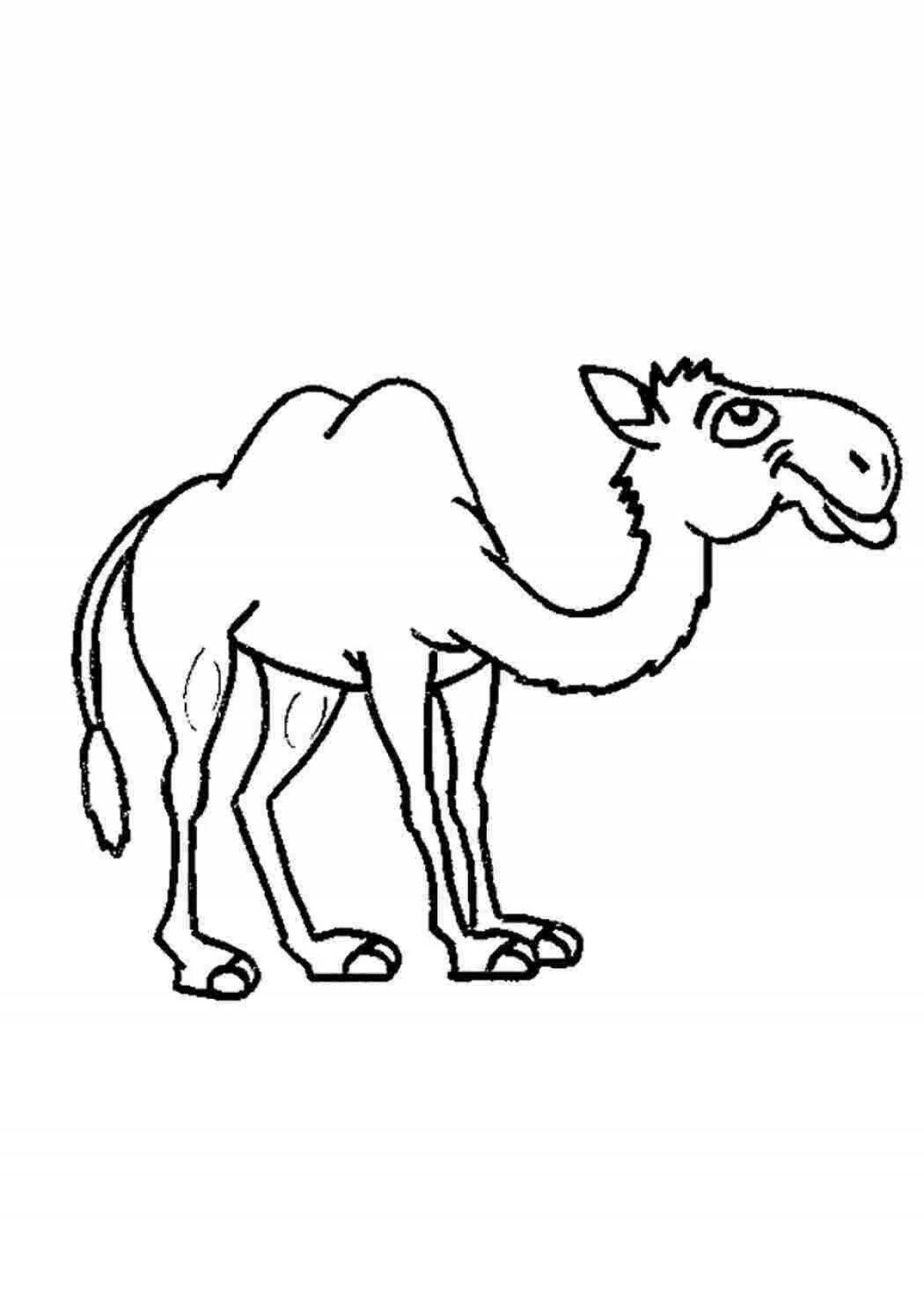 Coloring page gorgeous camel