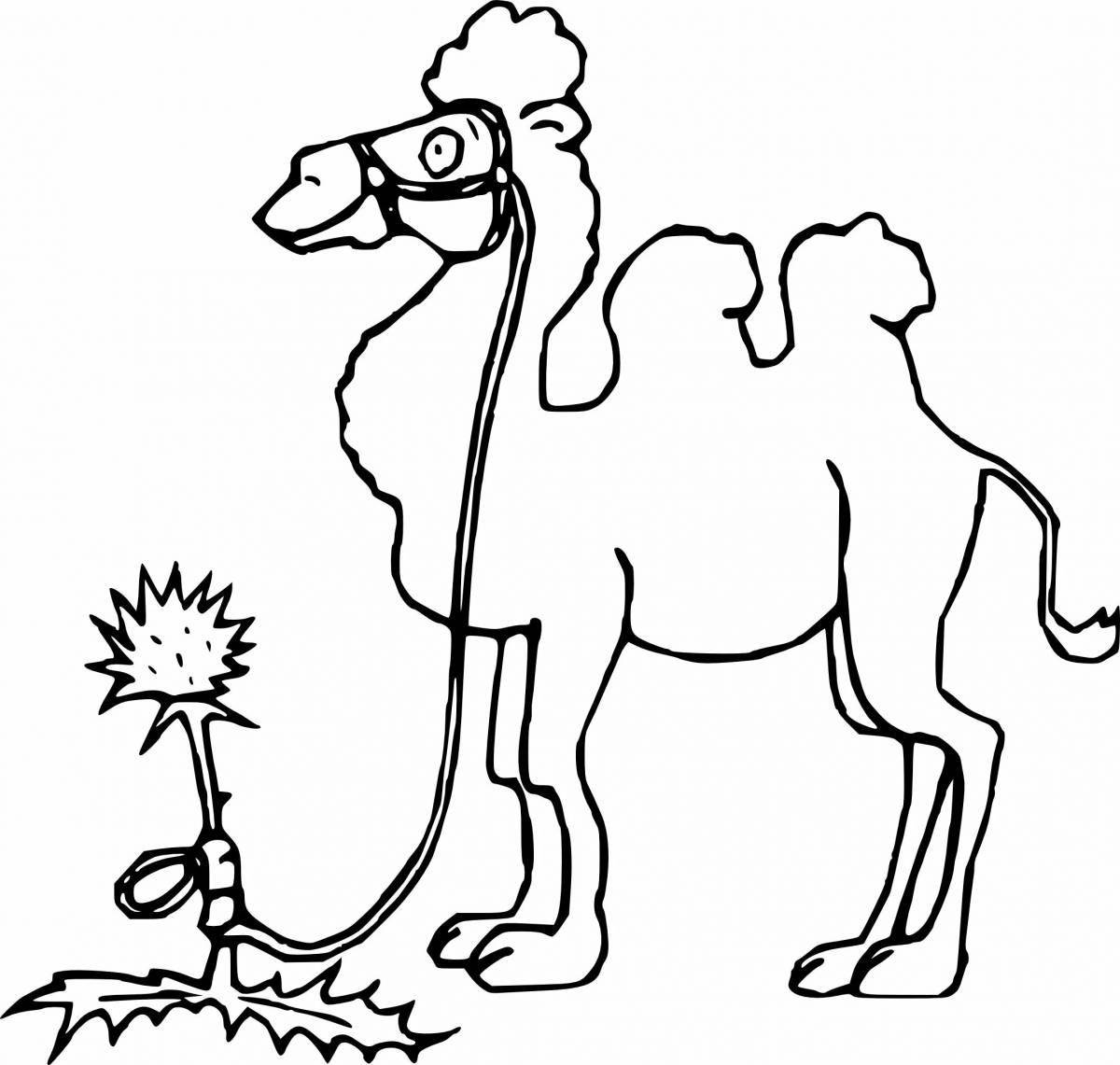Раскраска блестящий верблюд