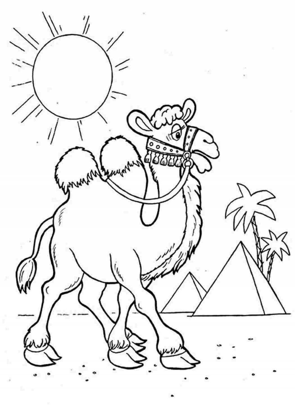 Brilliant camel coloring page