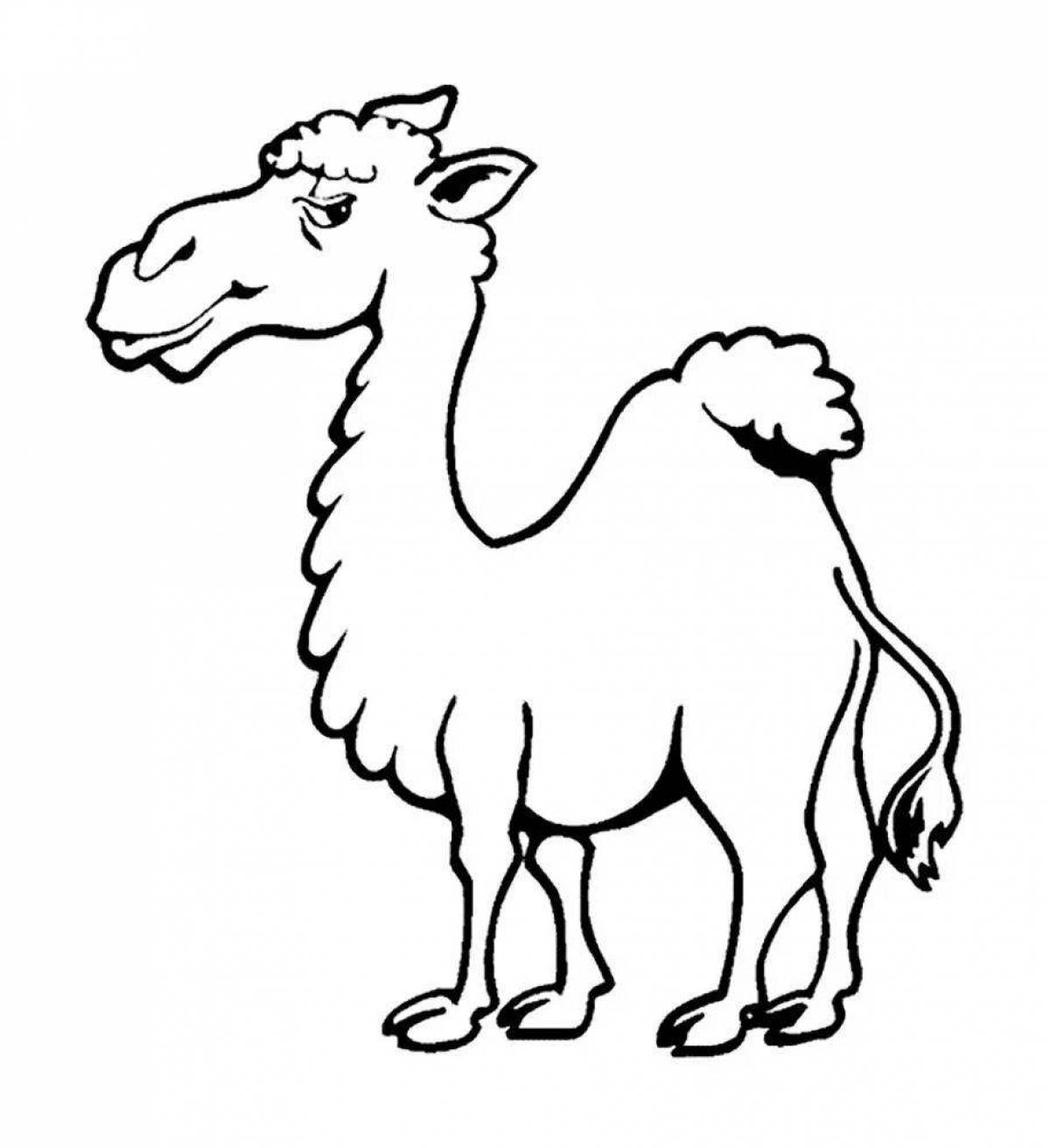 Exquisite camel coloring page