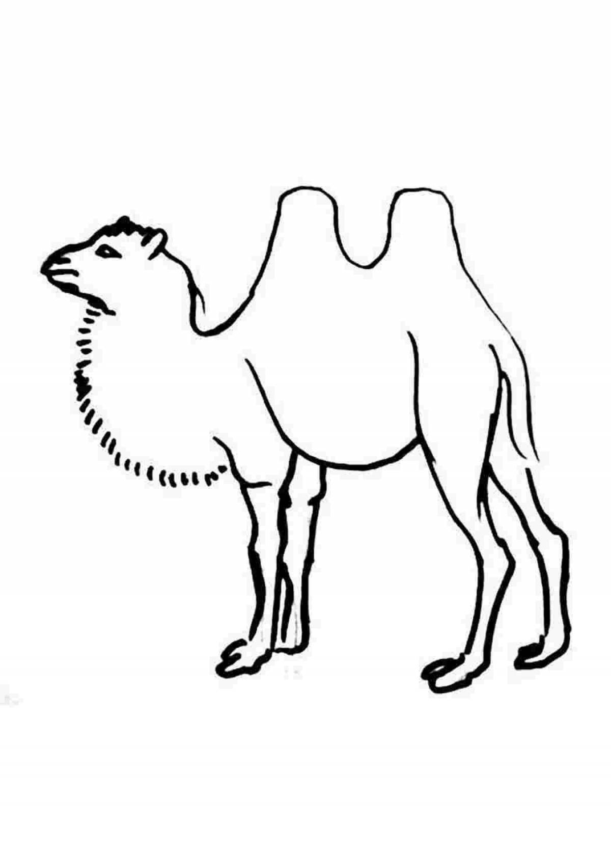 Верблюжонок #3