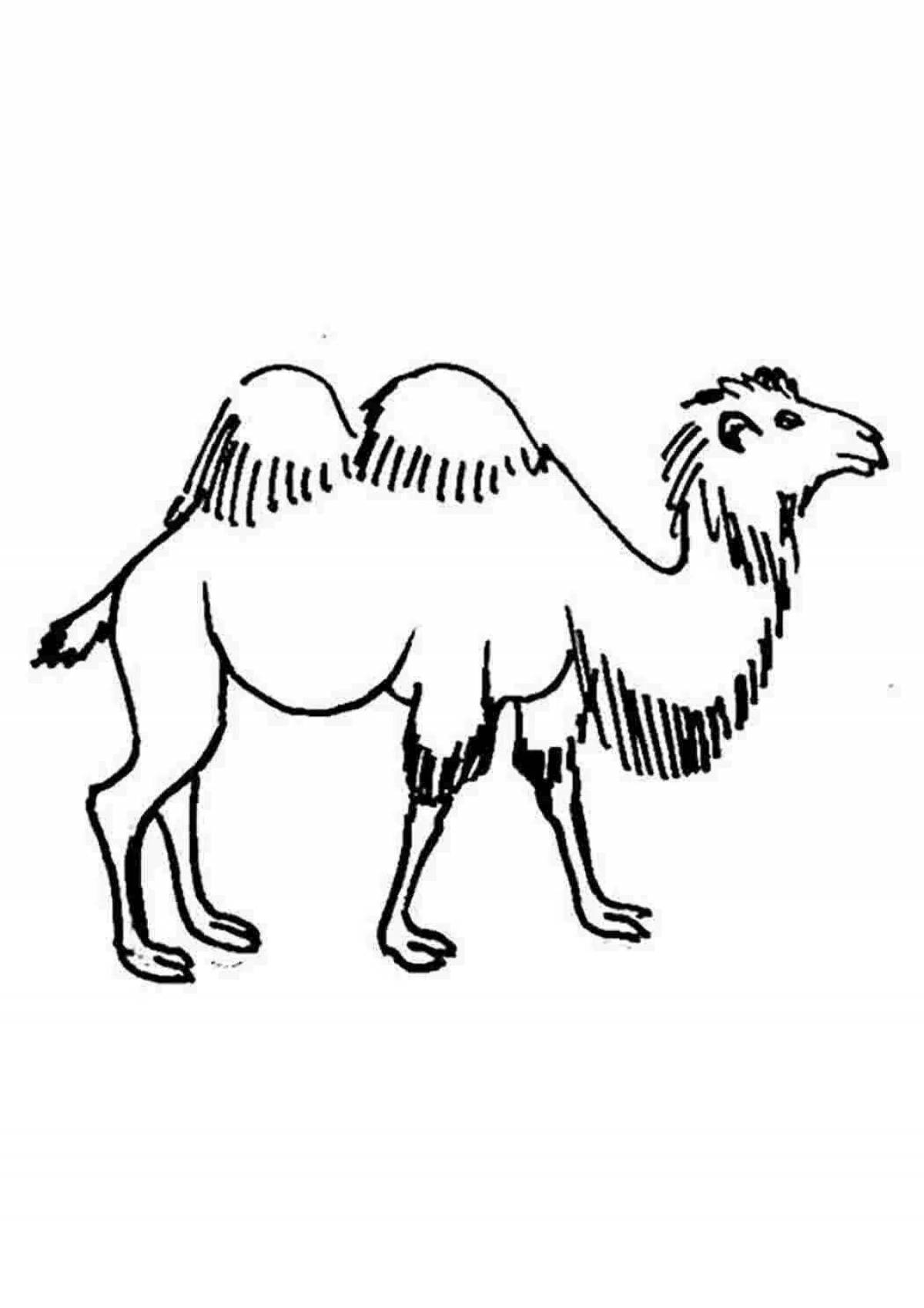 Верблюжонок #4