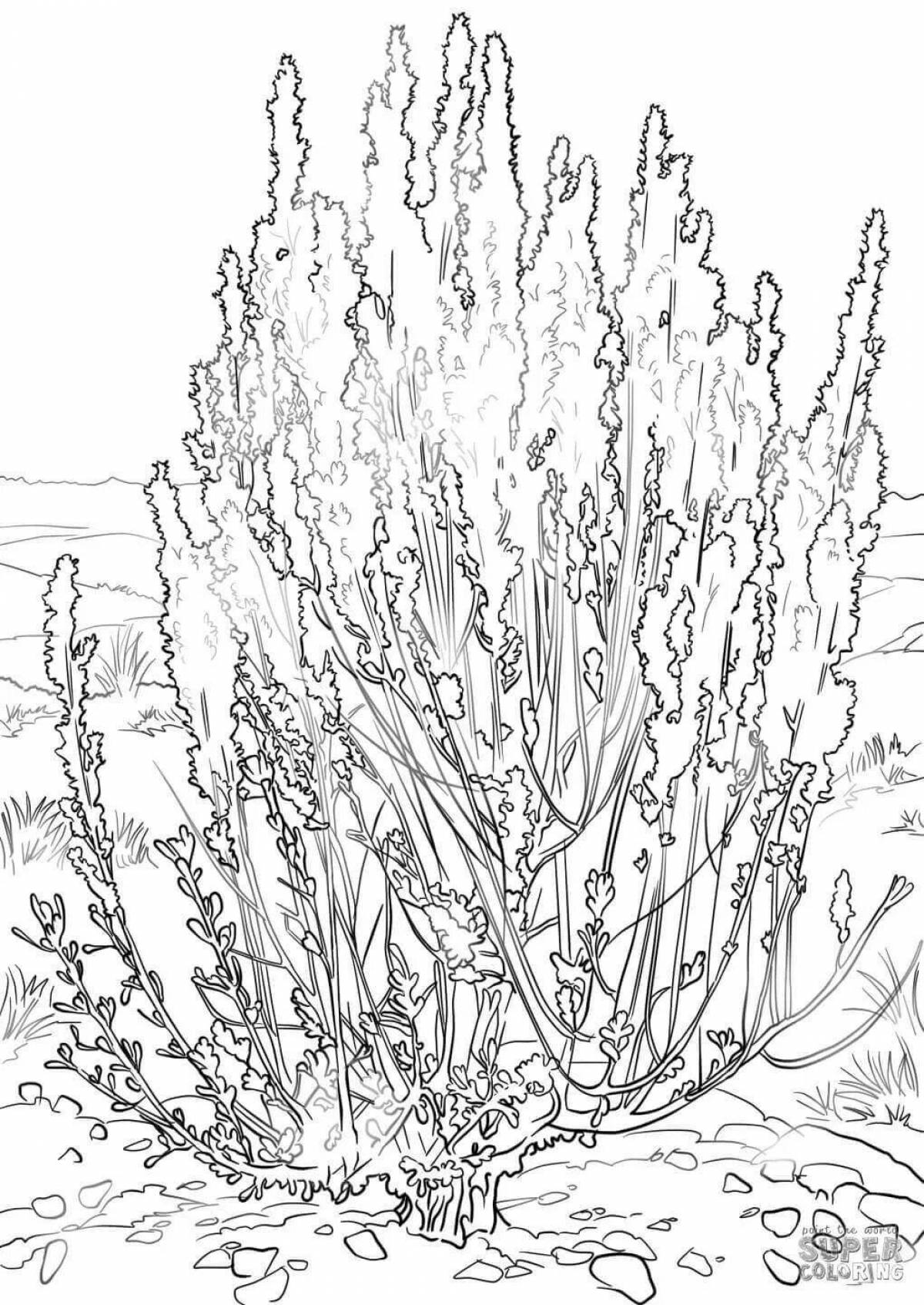 Colorful sagebrush coloring page