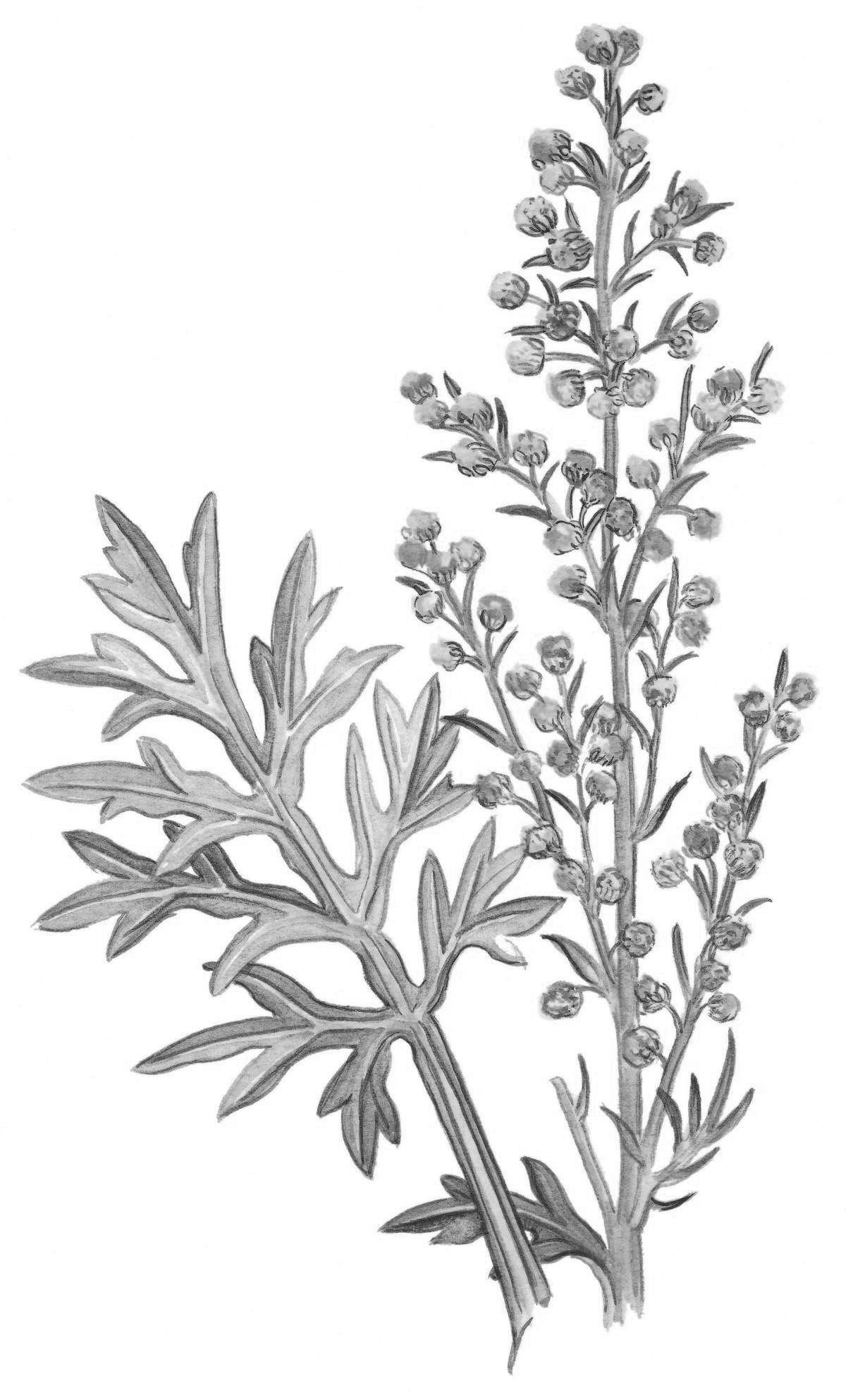 Bright sagebrush coloring page