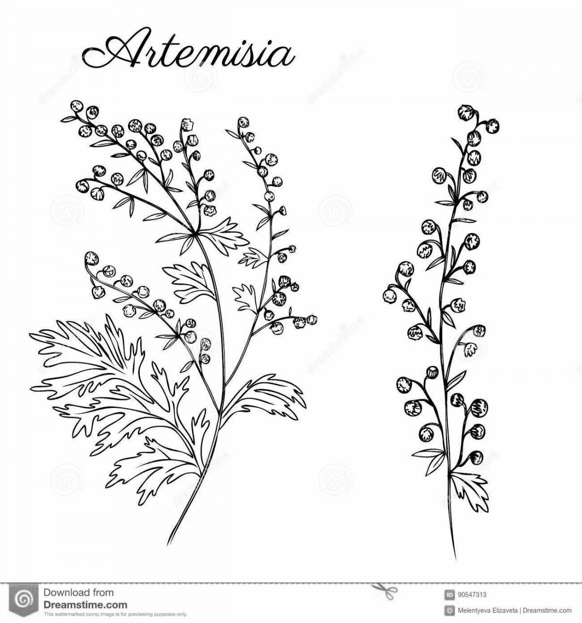 Glowing wormwood coloring page