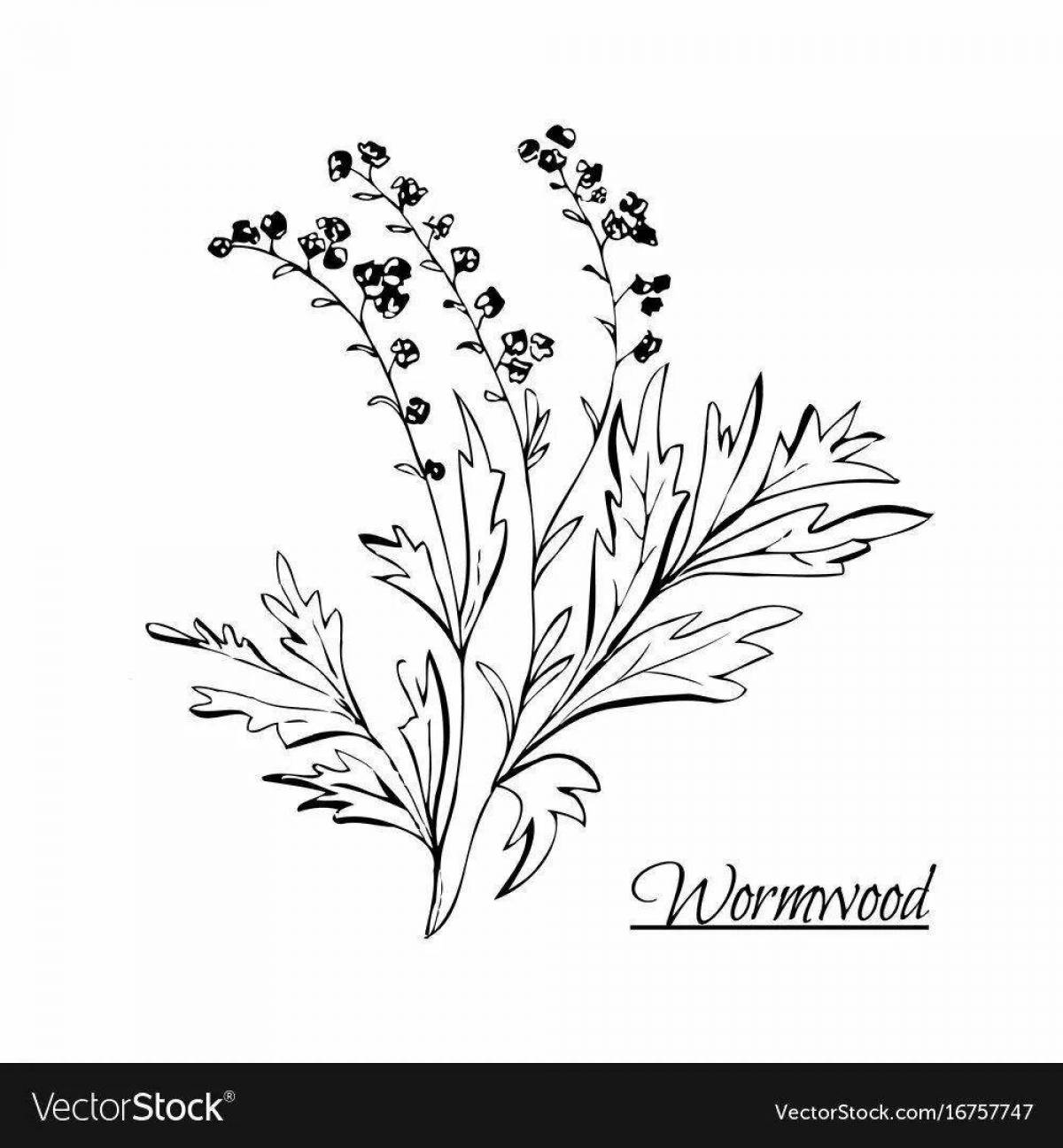 Coloring book shining wormwood