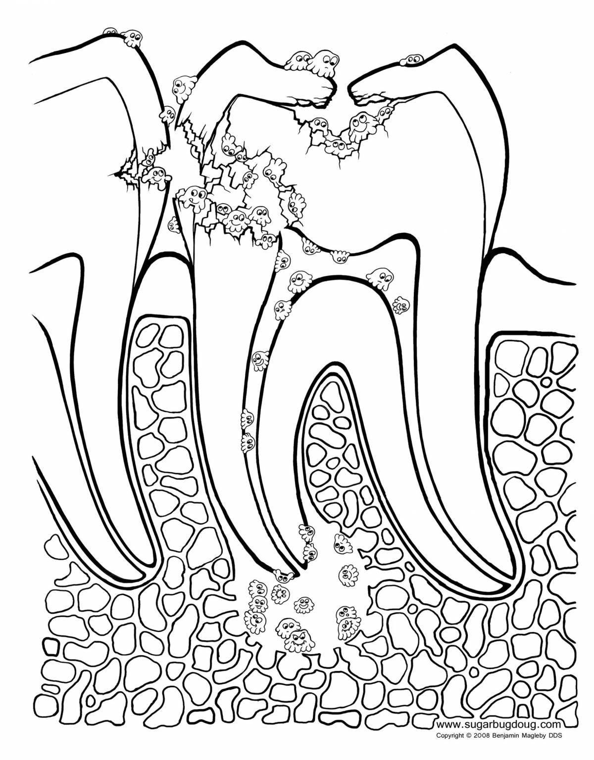 Color Dentistry Coloring Page