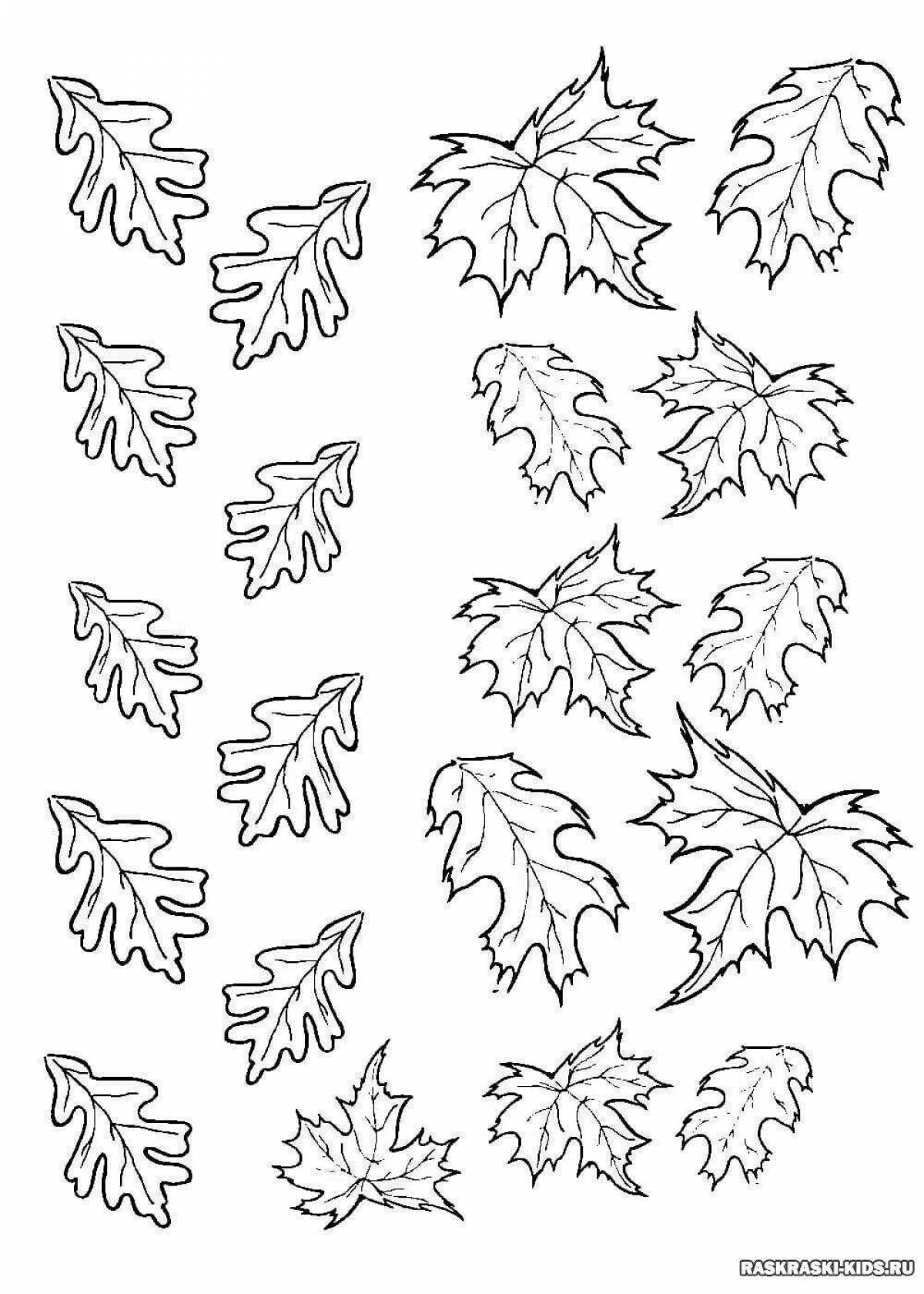 Coloring complex cutting