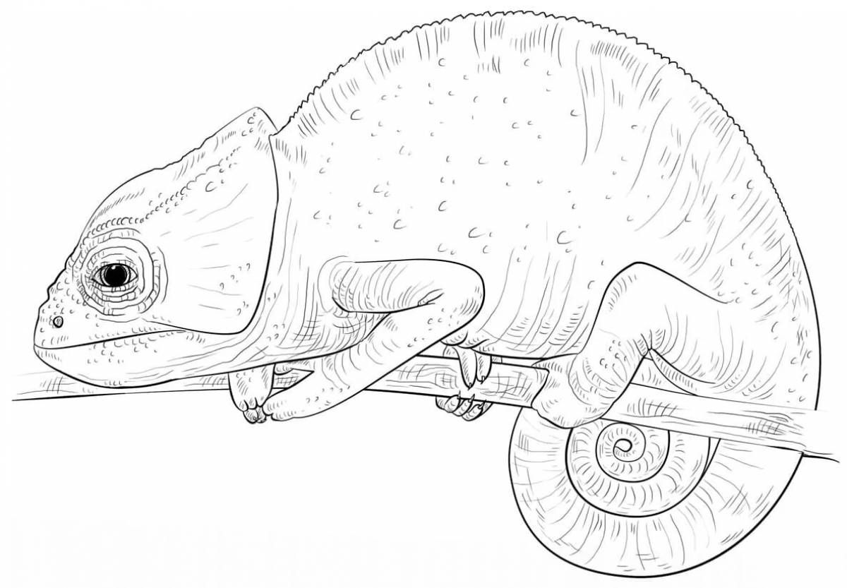 Рисунок хамелеона карандашом для срисовки