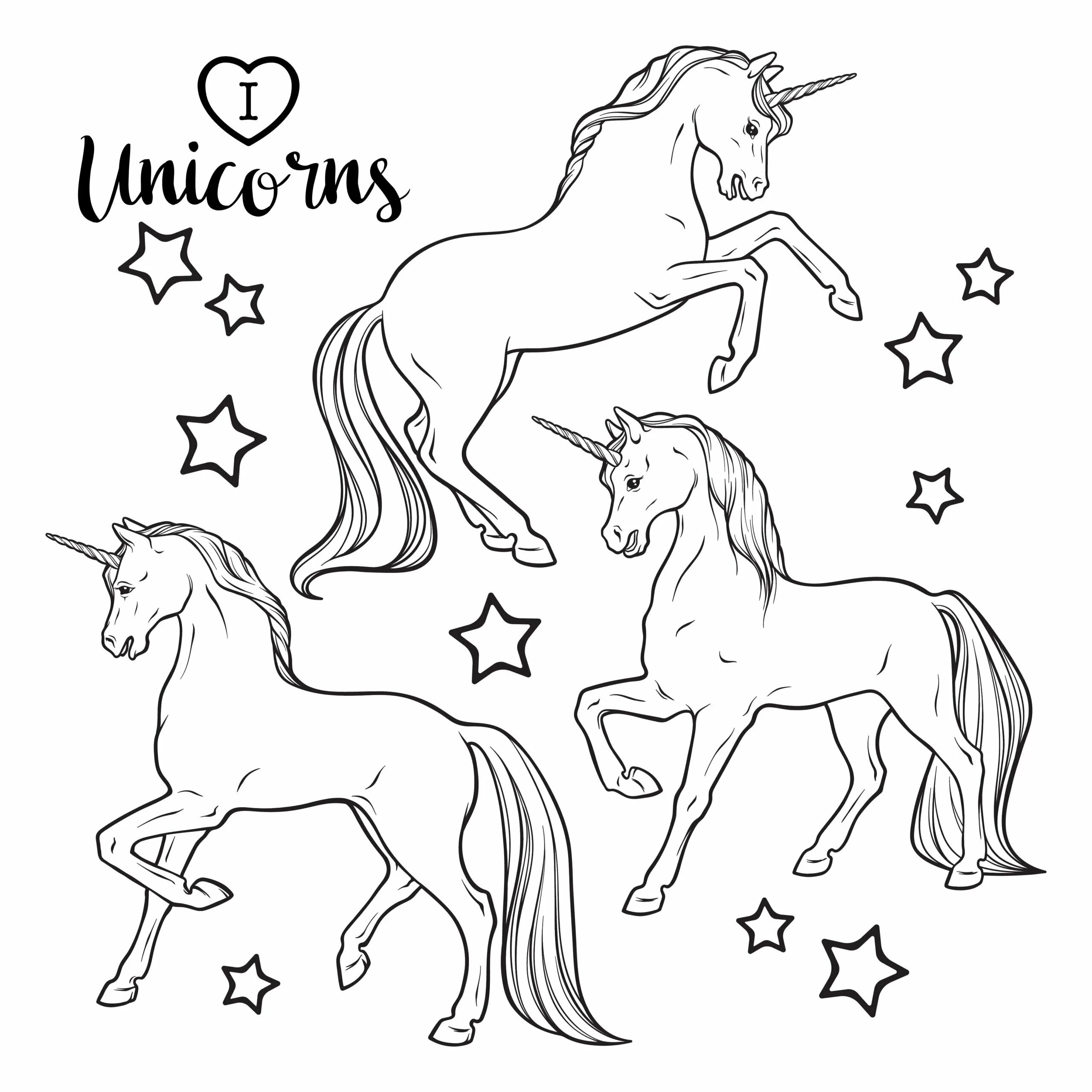 Turn on unicorns #2