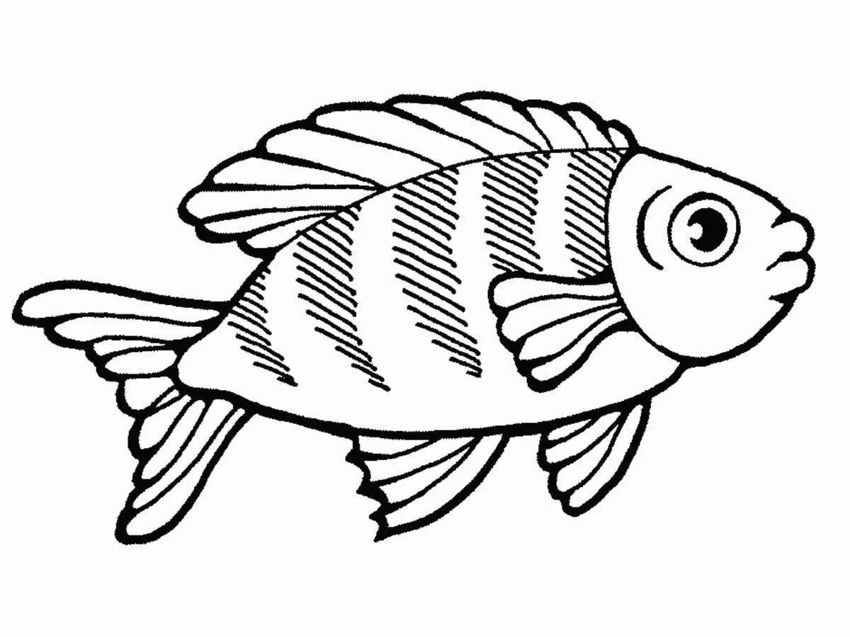 Colorful big fish coloring page