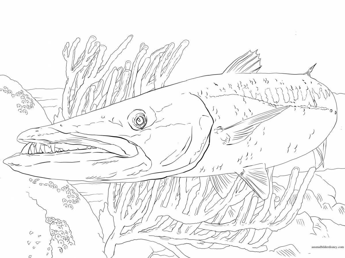 Beautiful big fish coloring page