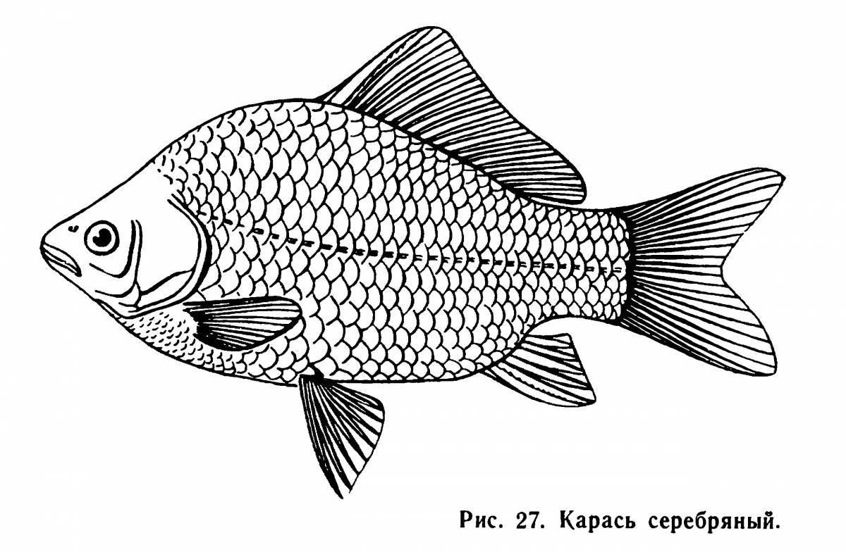 Раскраска Очаровательная большая рыбка-раскраска
