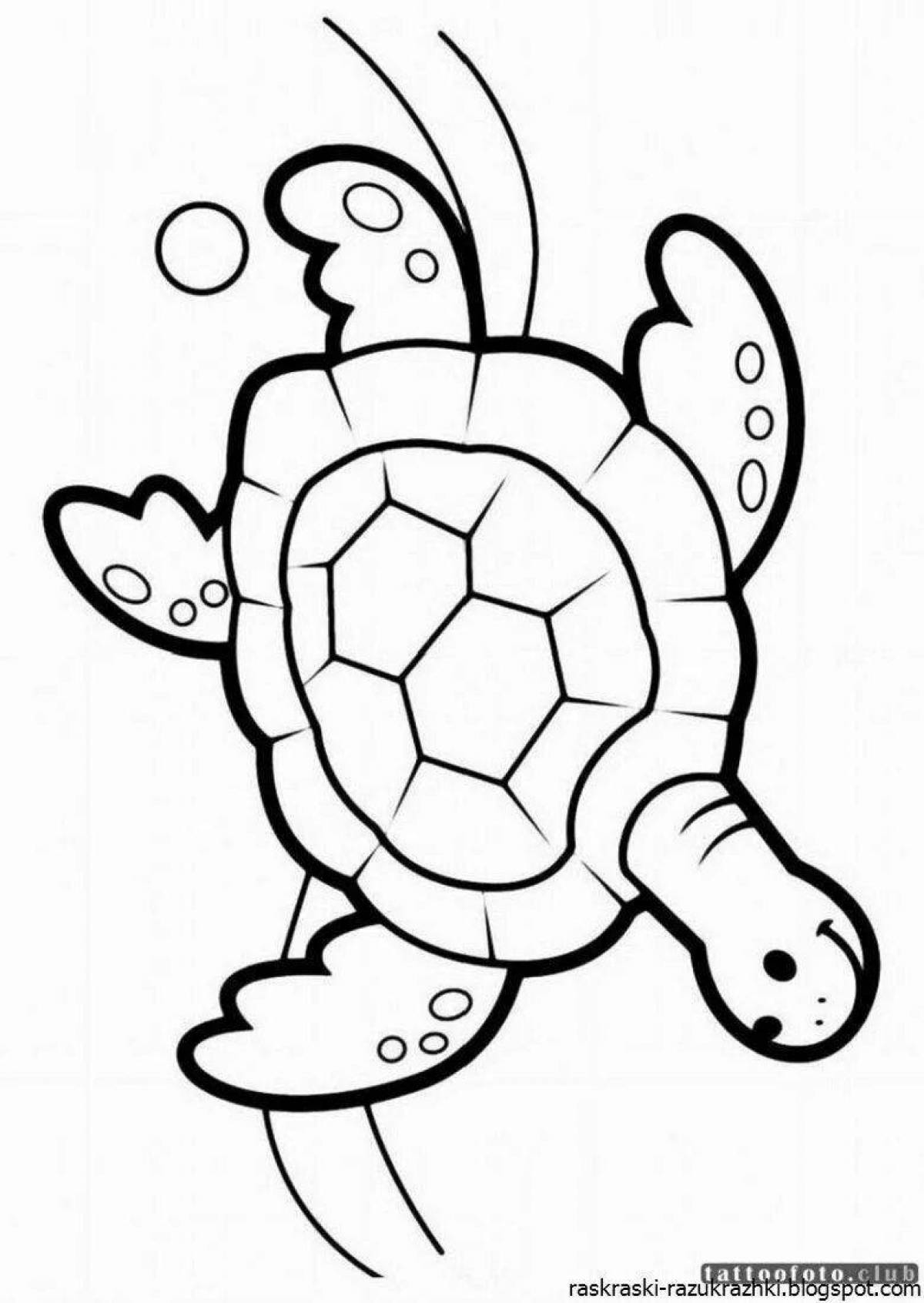 Детские черепахи #6