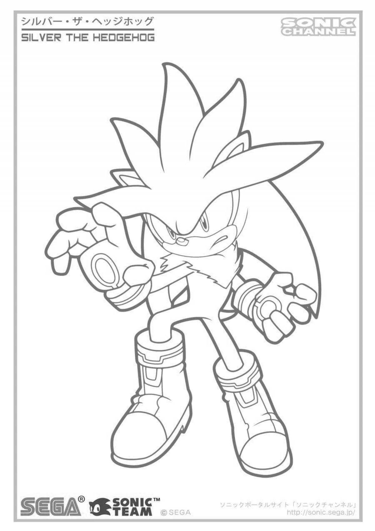 Sonic team witty coloring book