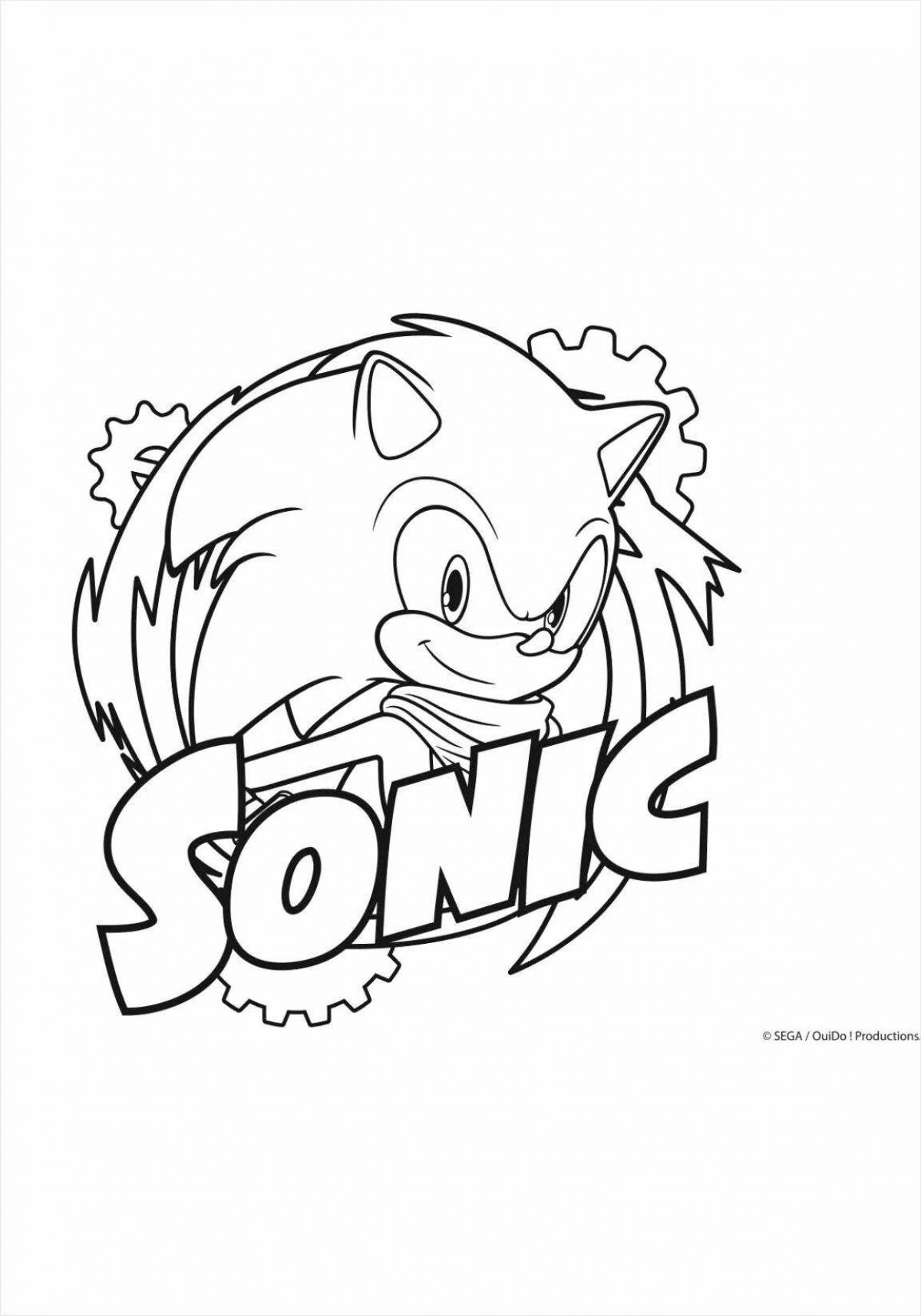 Дружелюбная раскраска sonic team