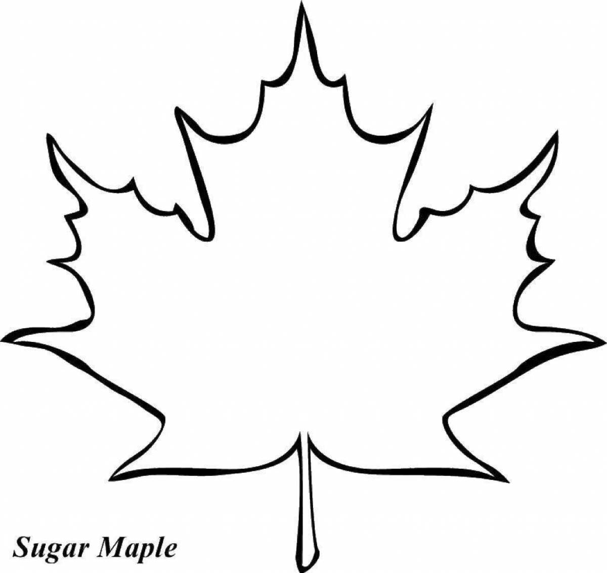 Attractive japyrak suretteri coloring page