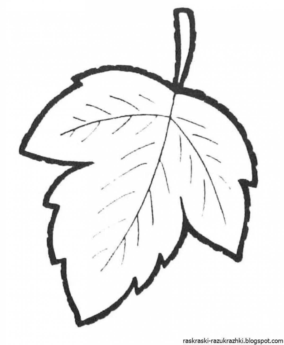 Coloring lovely japyrak suretteri