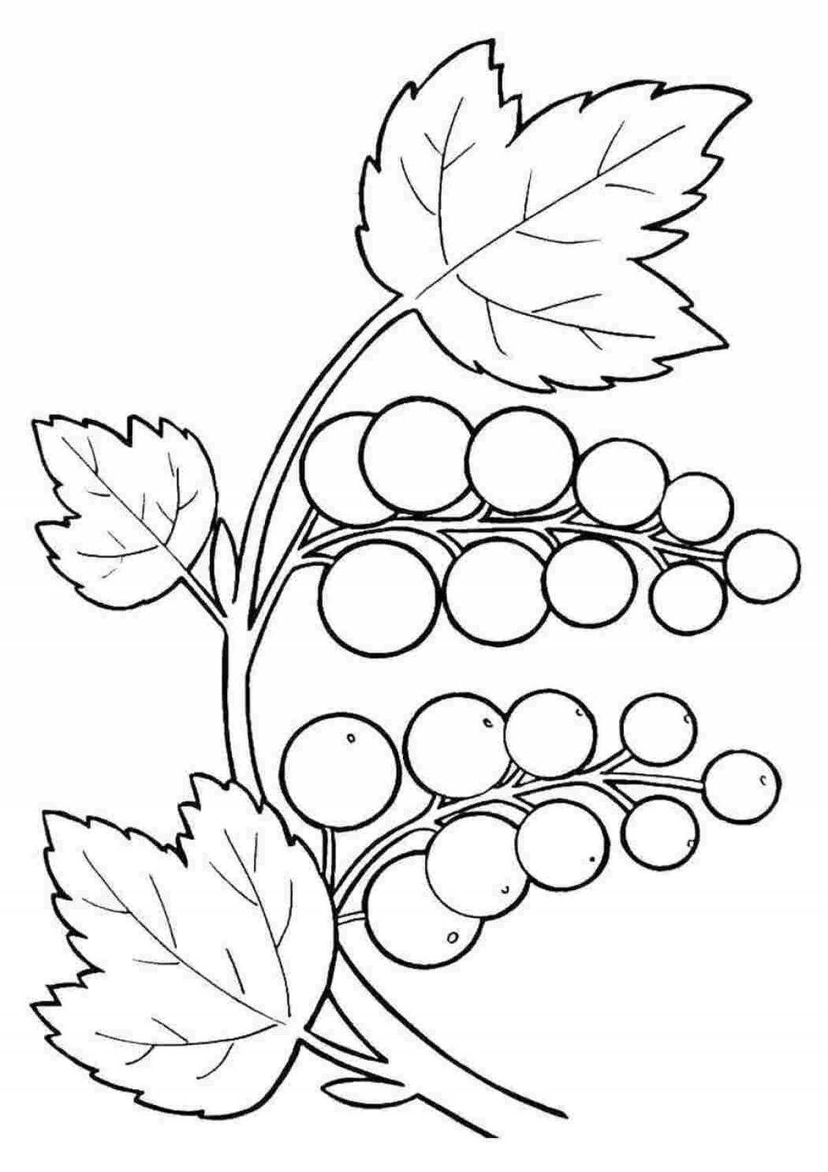 Attractive coloring pages Khokhloma patterns