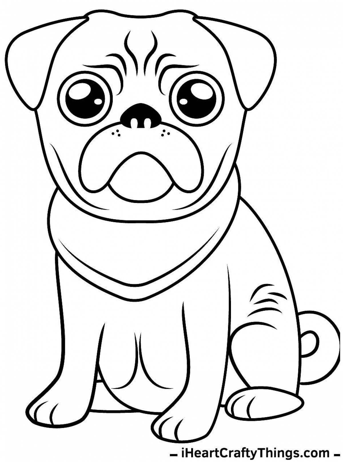 Coloring funny pug pj