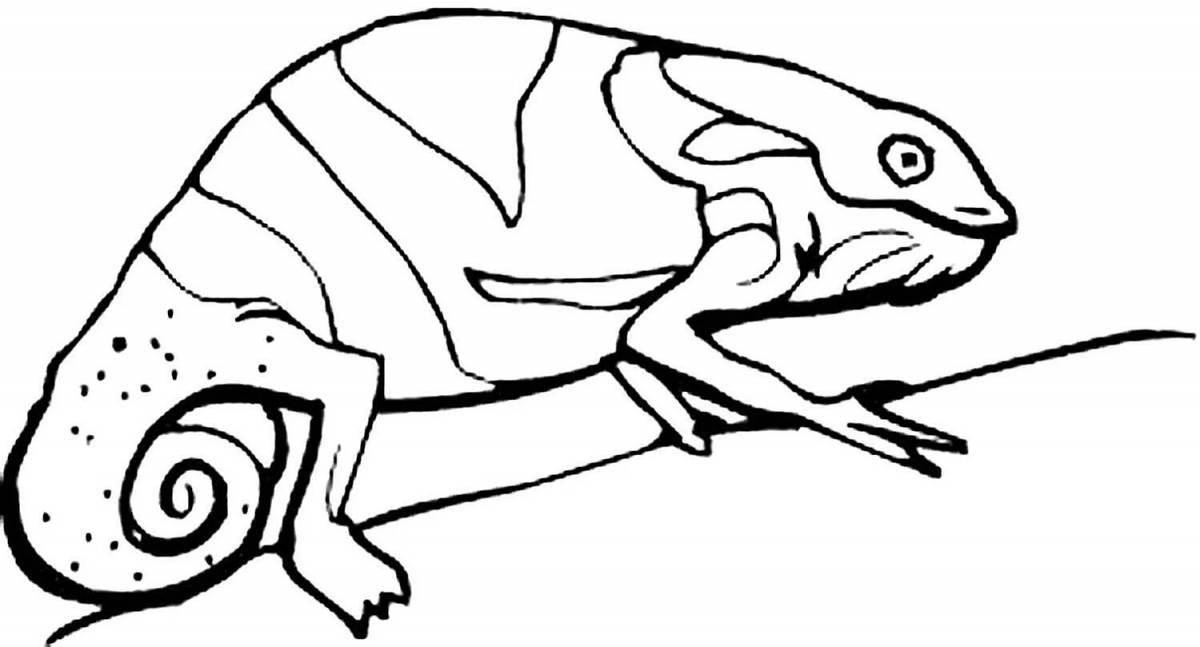 Attractive chameleon coloring book