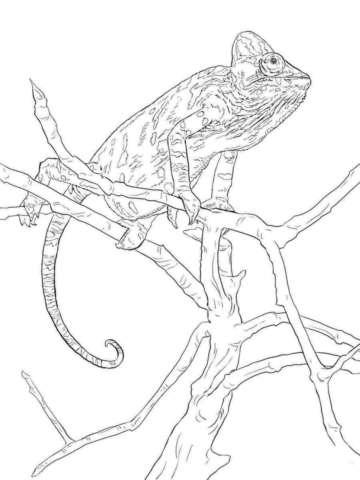 Mysterious chameleon coloring page