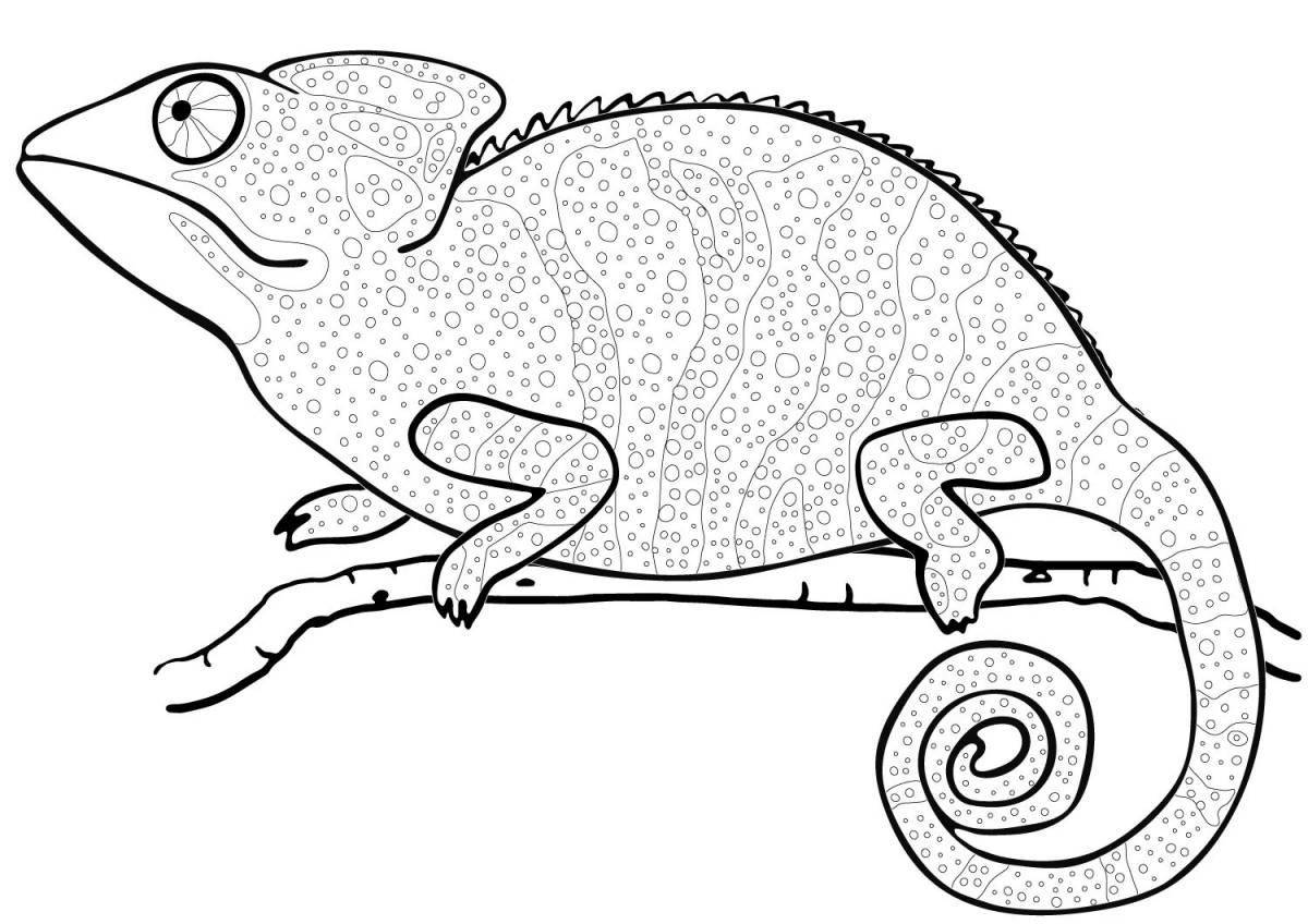 Incredible chameleon coloring book