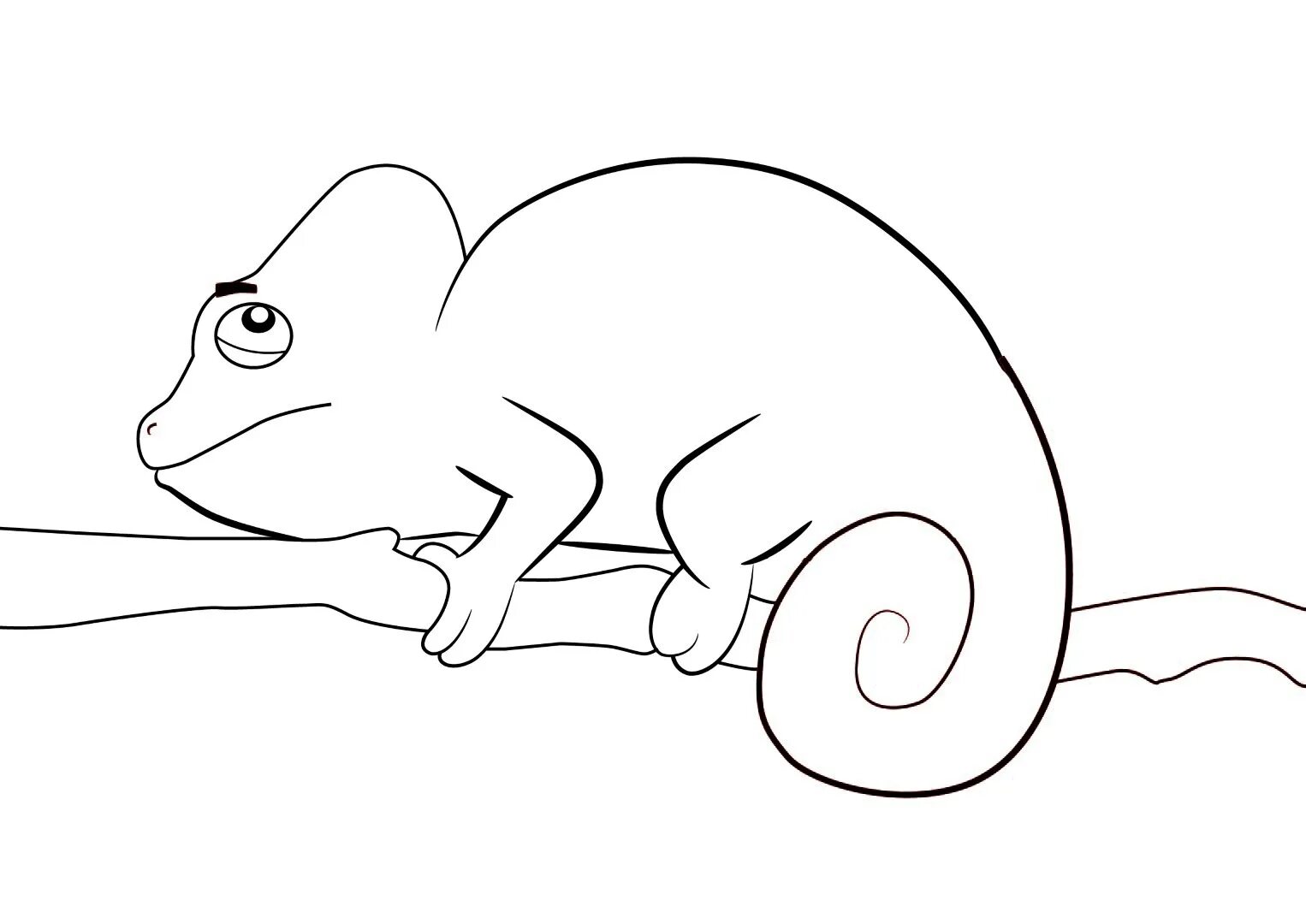 Chameleon drawing #2