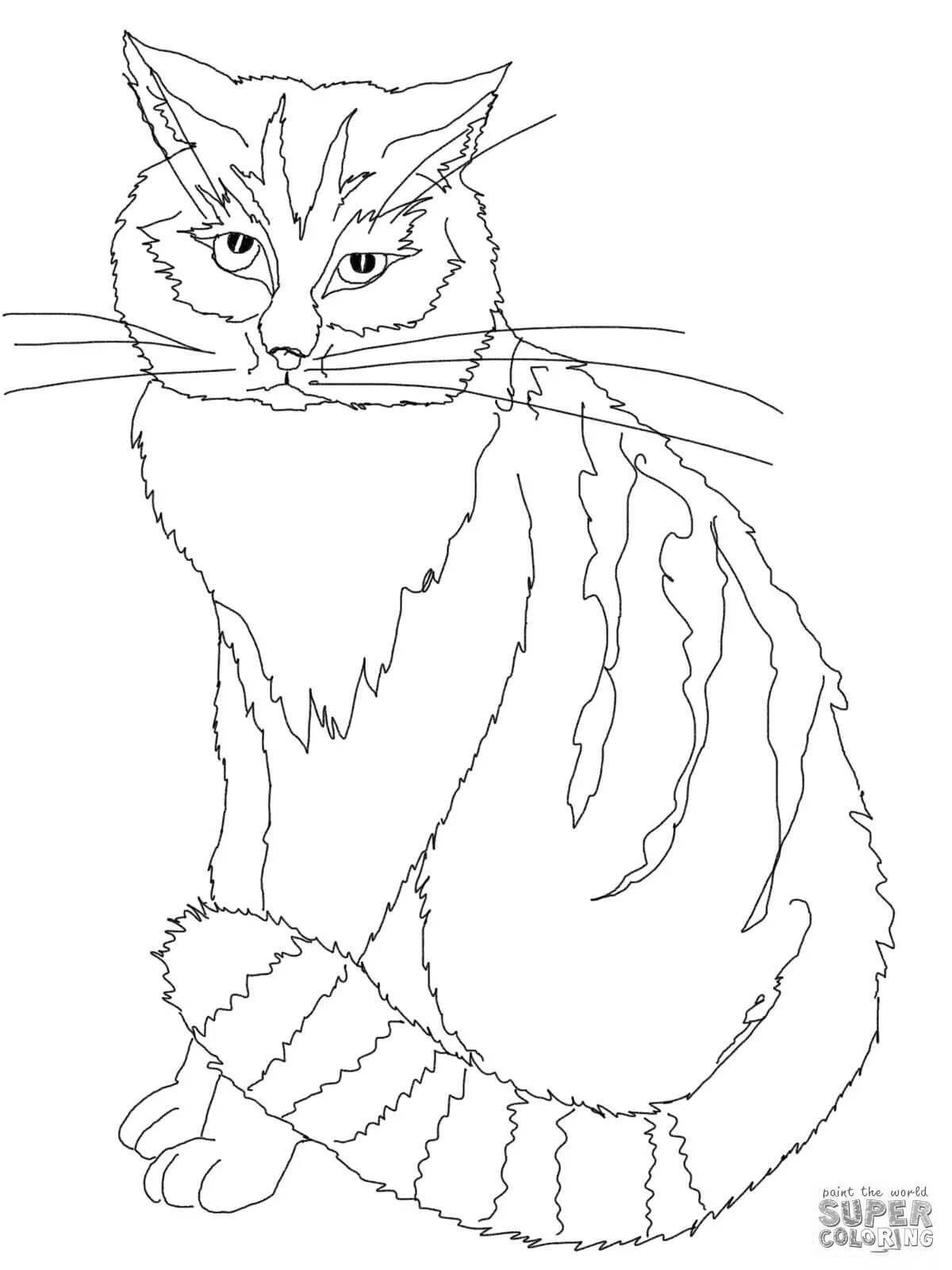 Photo Colourful cane cat coloring page