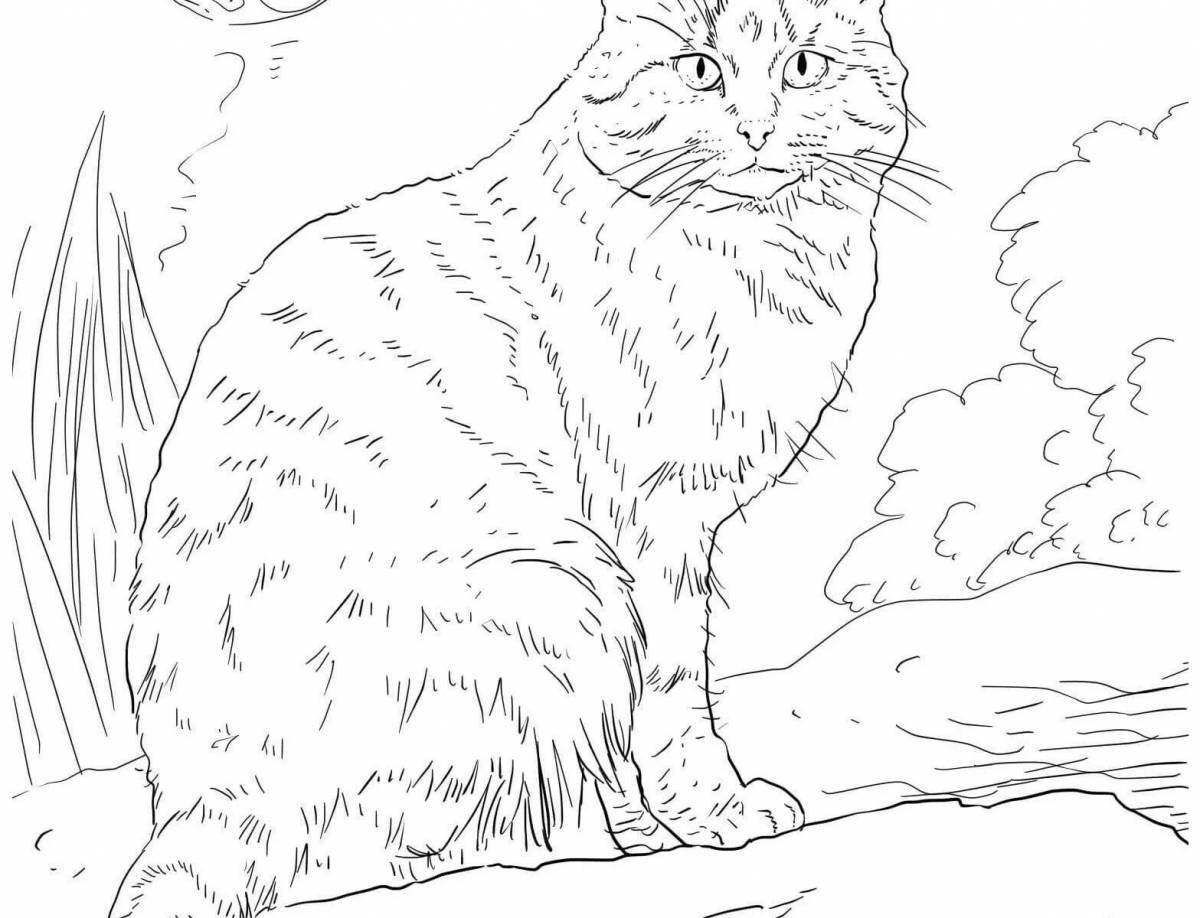 Coloring book mischievous jungle cat