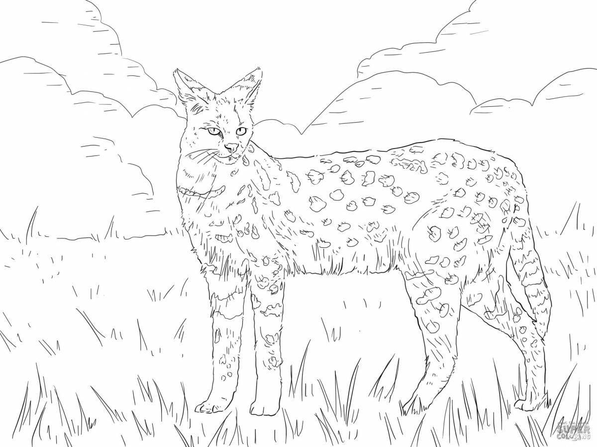 Rampant cane cat coloring page