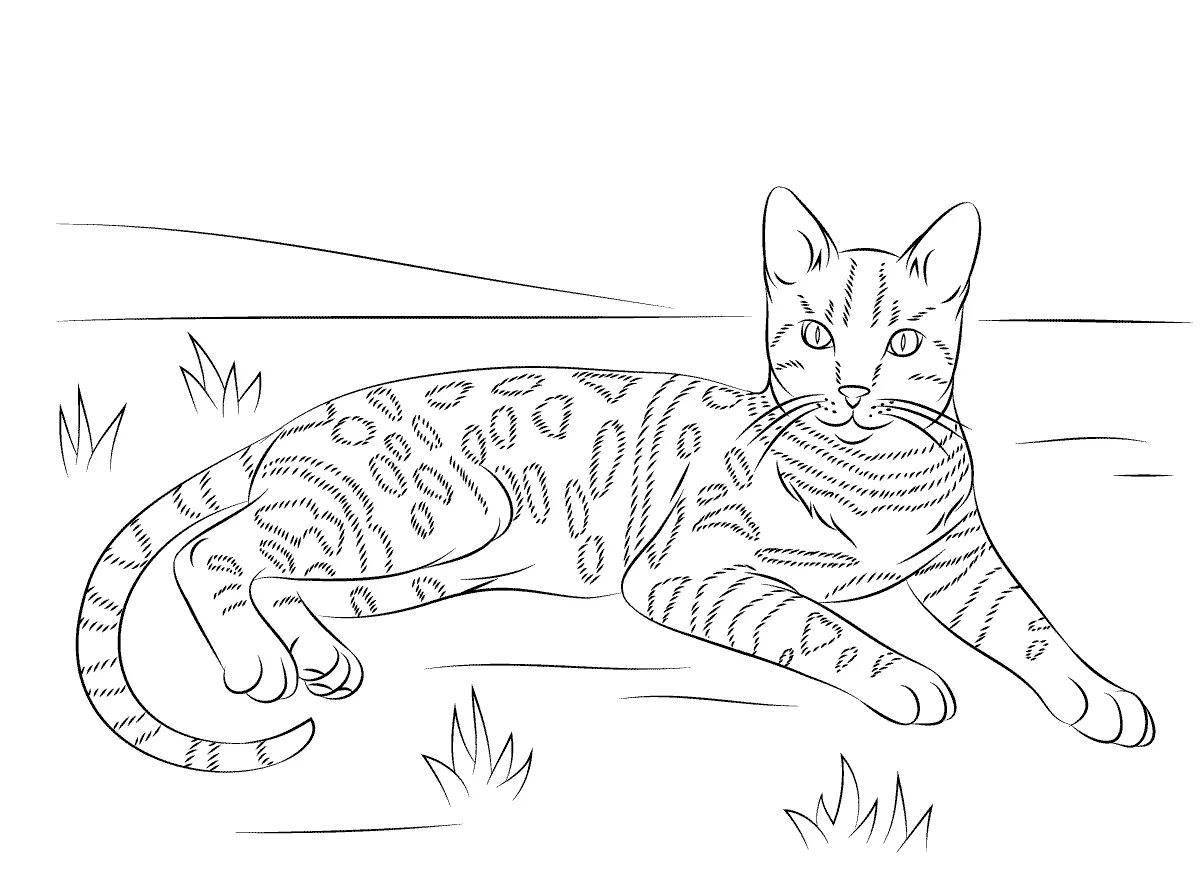 Coloring book funny cane cat