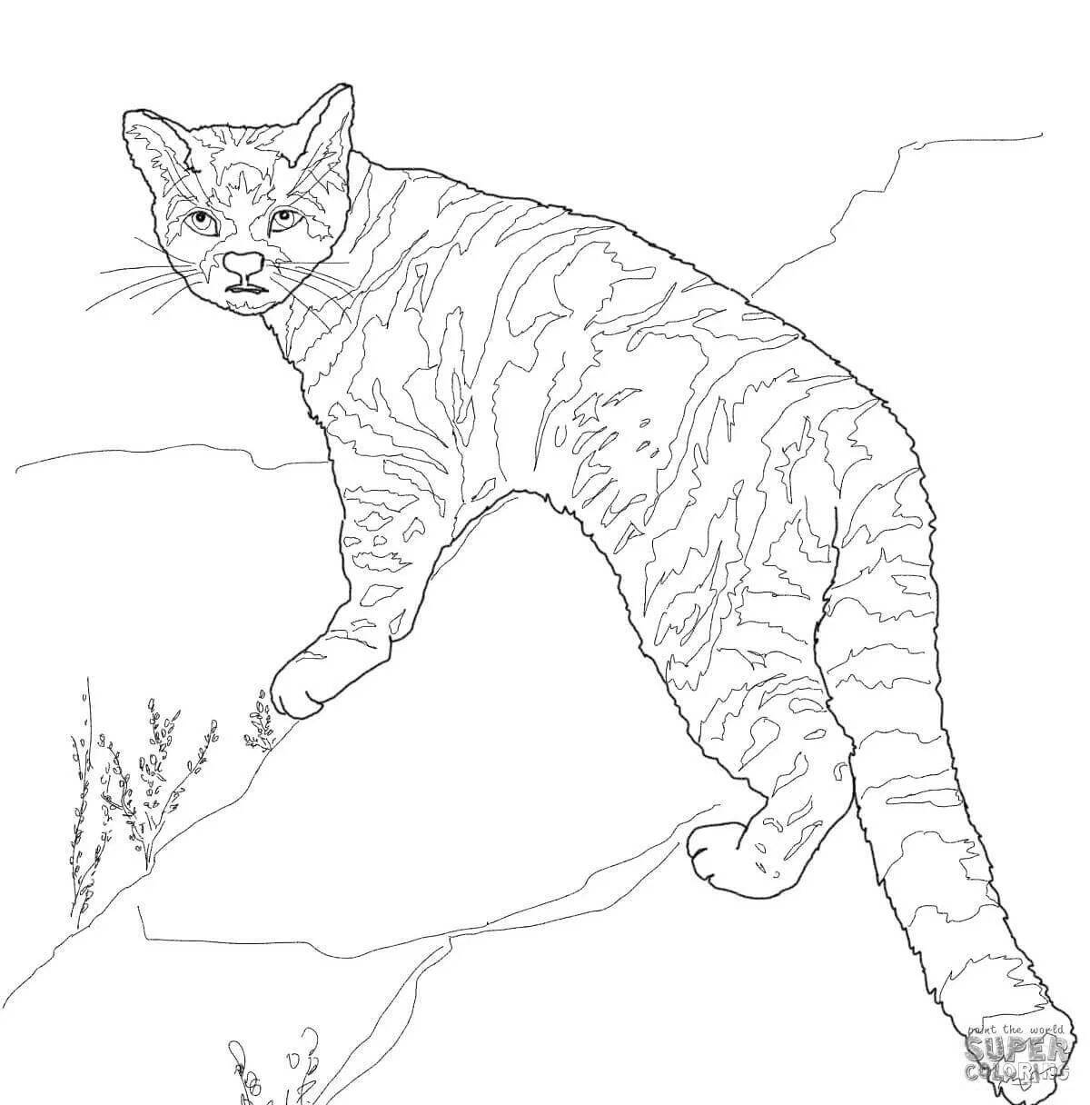 Привлекательная страница раскраски тростникового кота