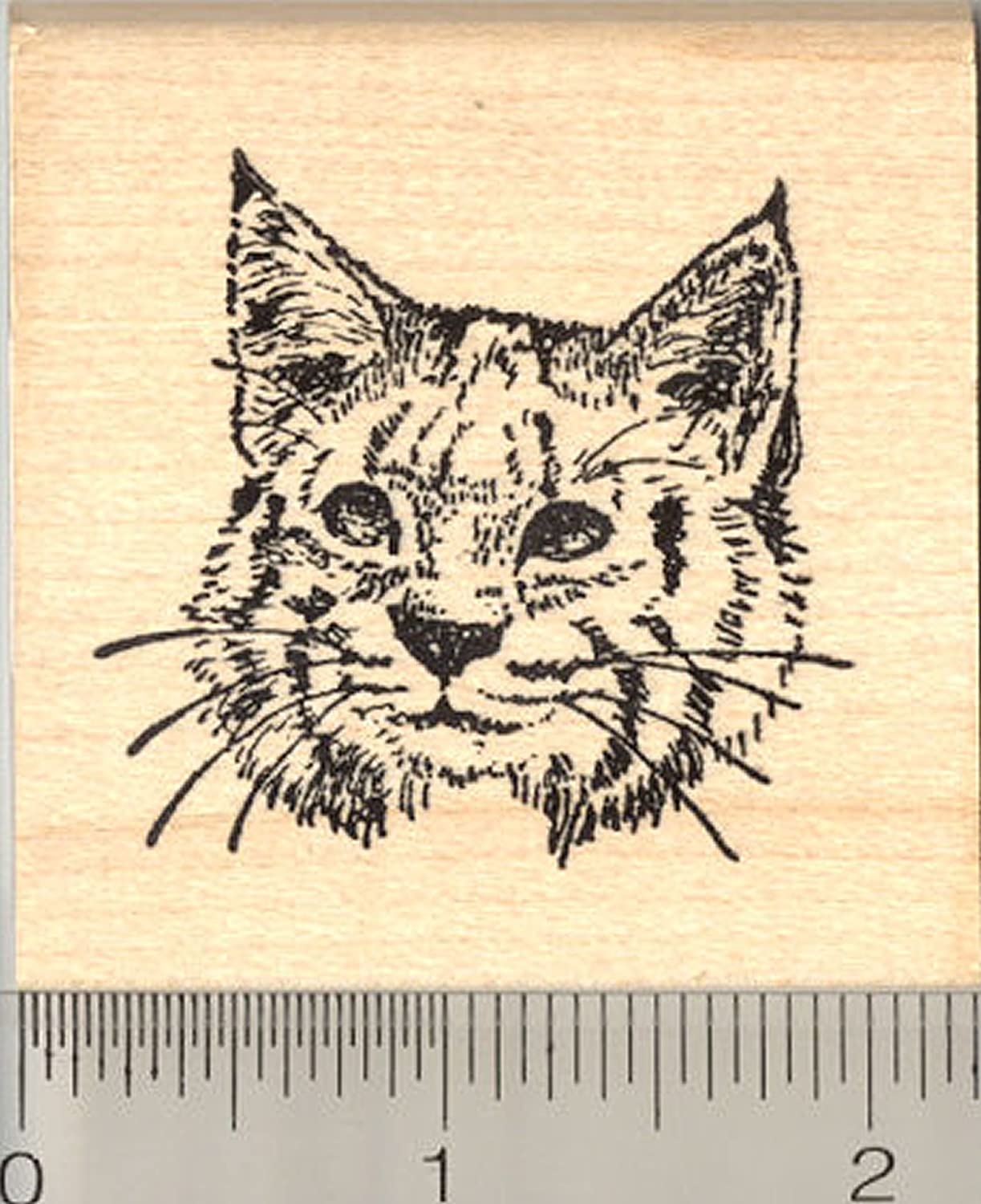 Photo Glitter cane cat coloring page