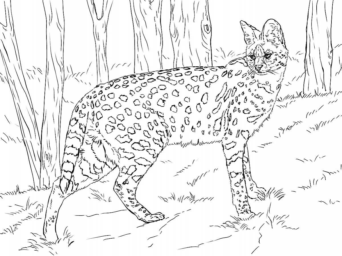 Glittering cane cat coloring page