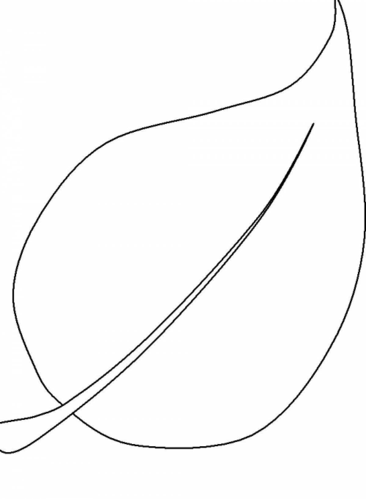 Coloring page wild pattern of petals