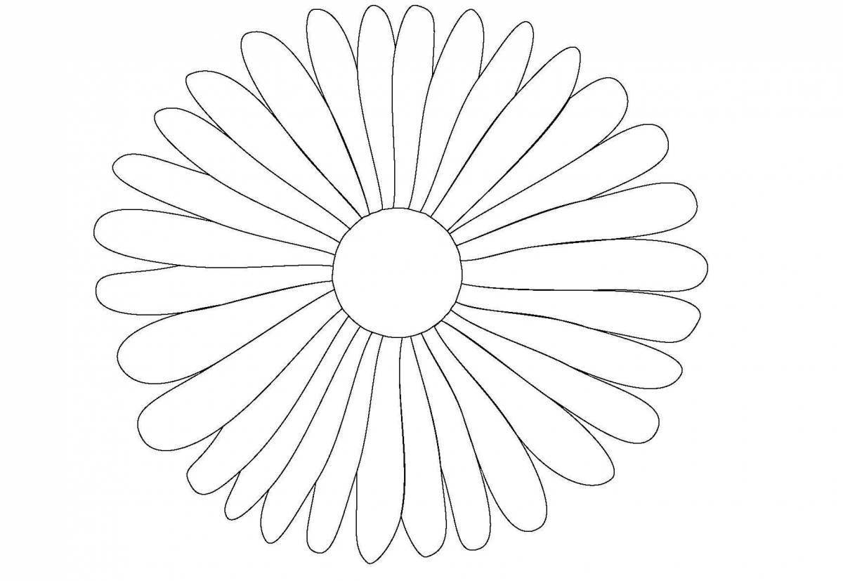 Attractive petal pattern coloring page