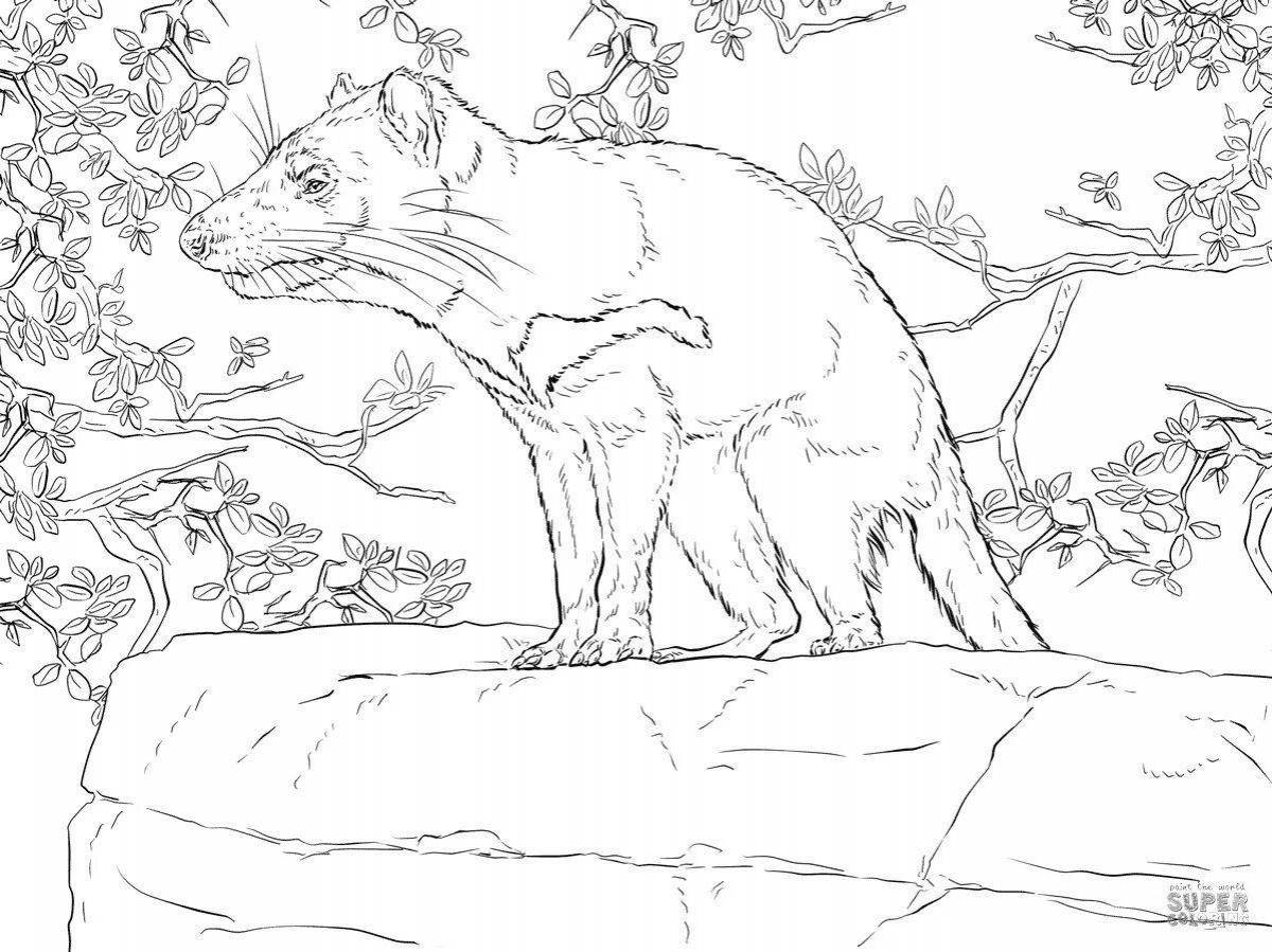 Coloring book magnificent marsupial wolf