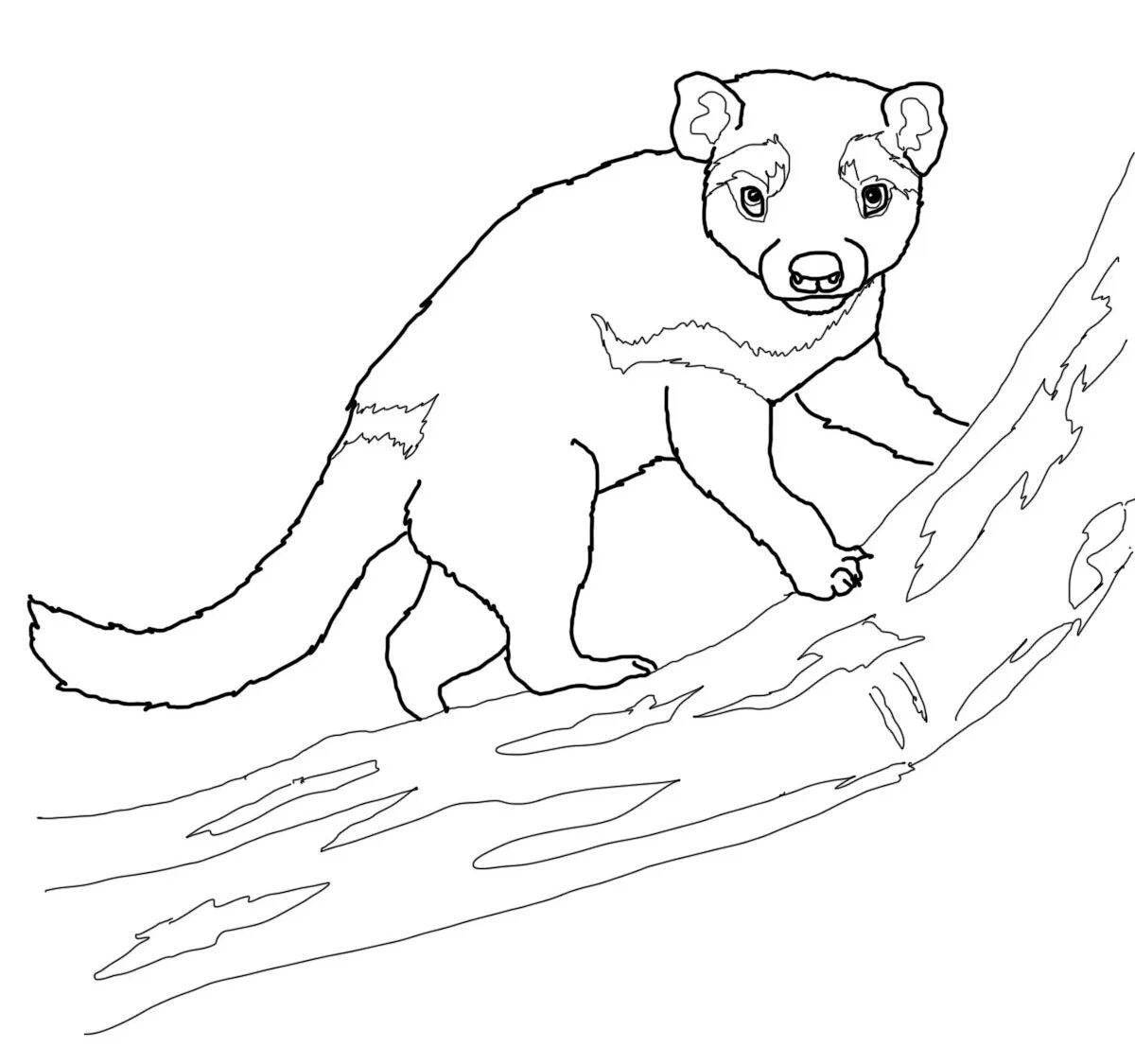 Glorious marsupial wolf coloring page
