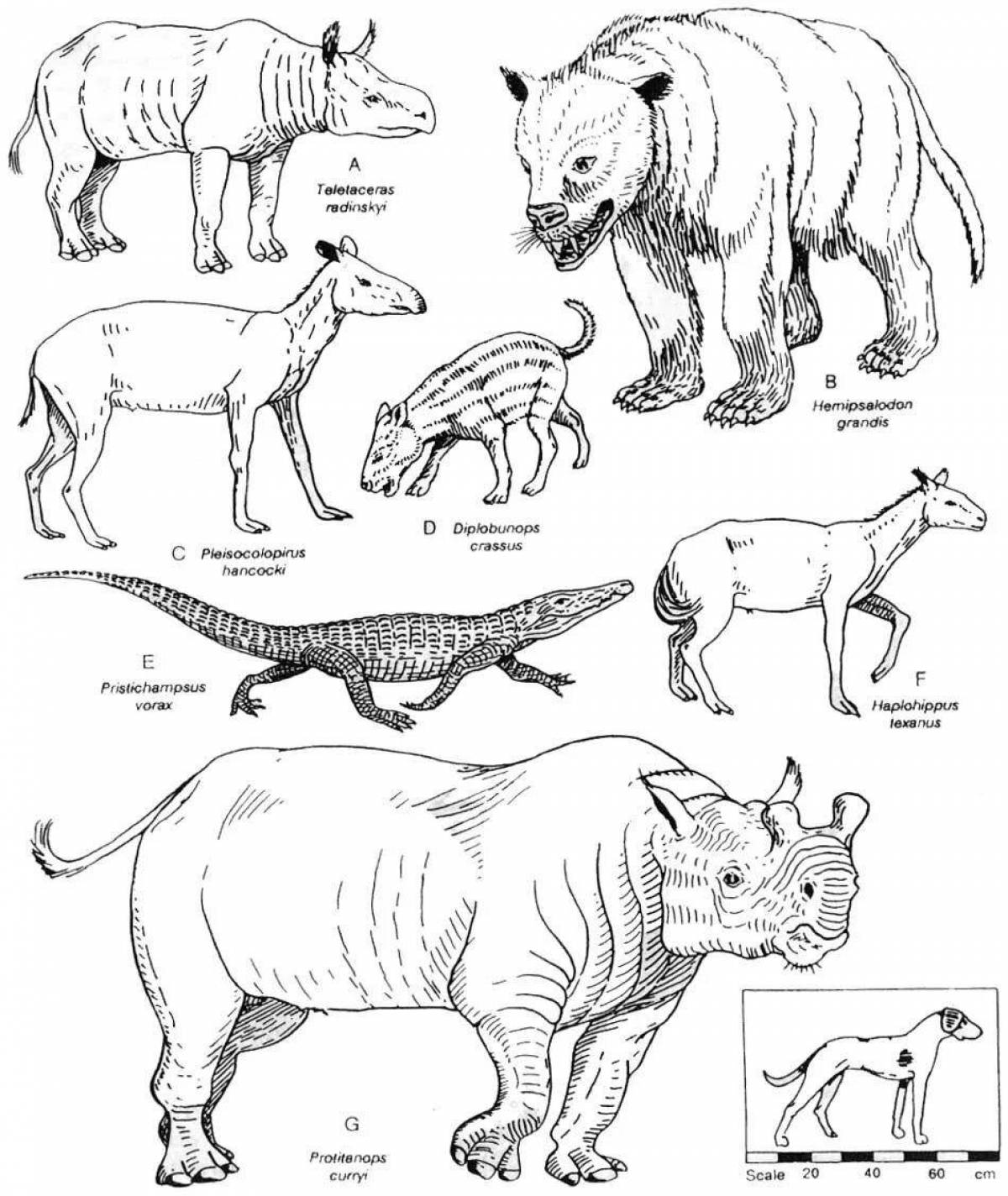 Млекопитающие животные рисунки. Раскраска древние животные. Раскраска вымершие животные. Раскраска доисторические животные. Млекопитающие животные раскраска.