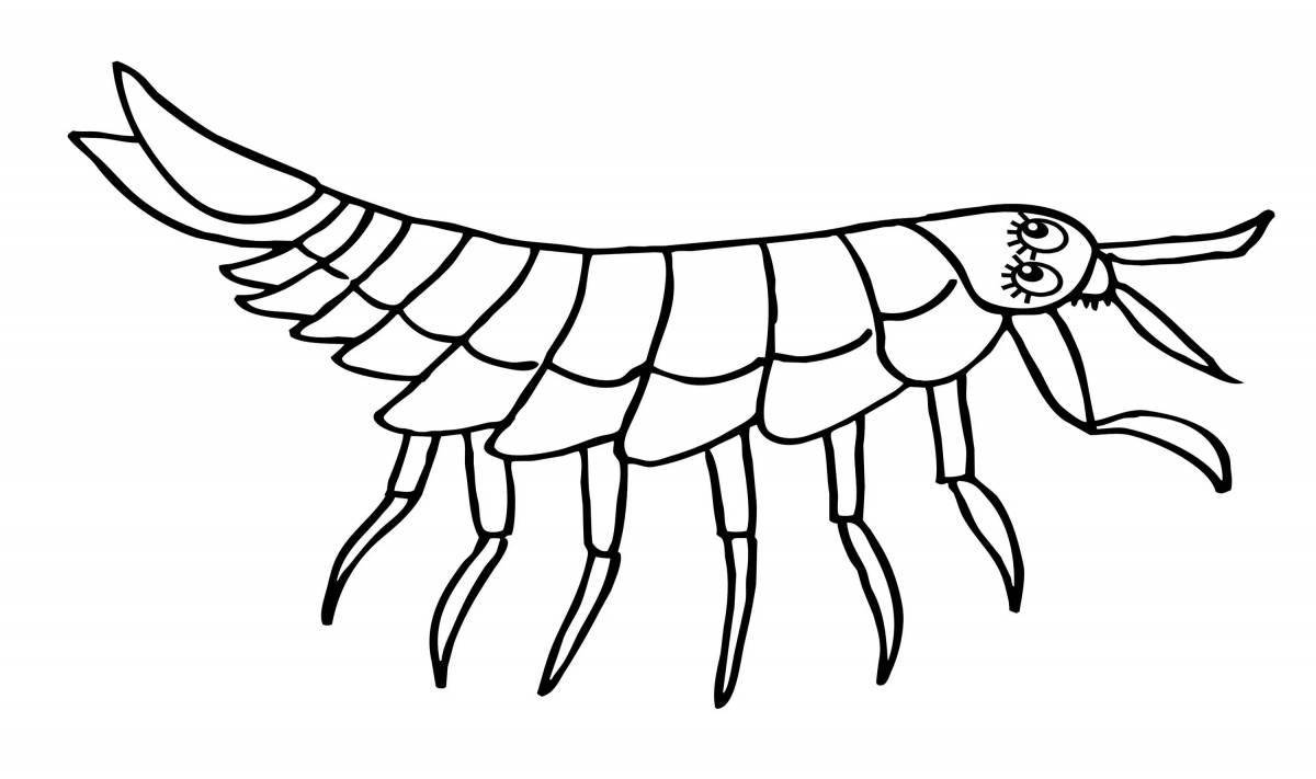 Charming mantis coloring book