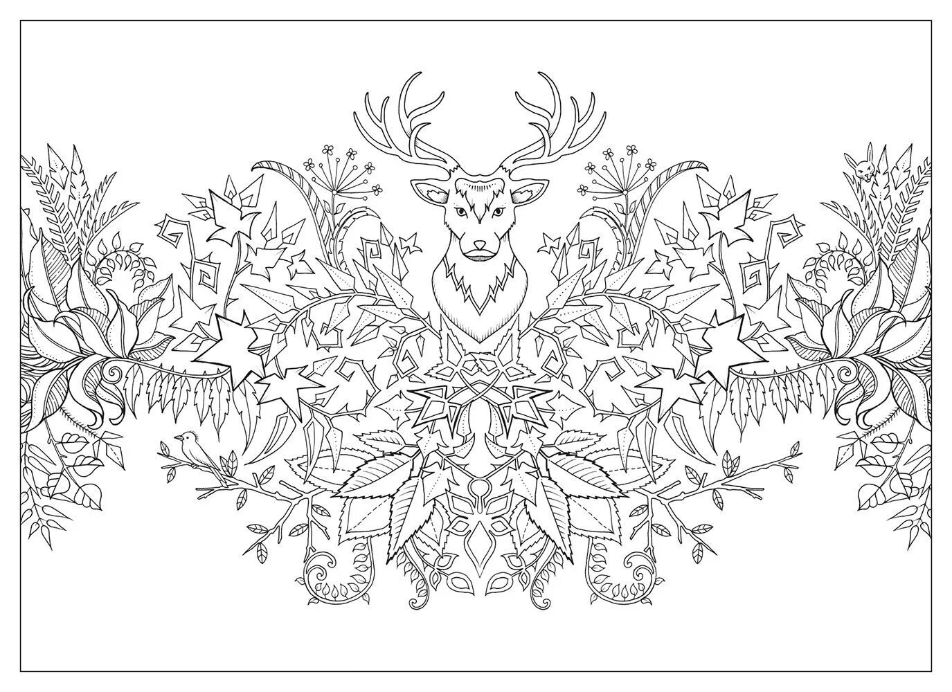 Luxury anti-stress forest coloring book
