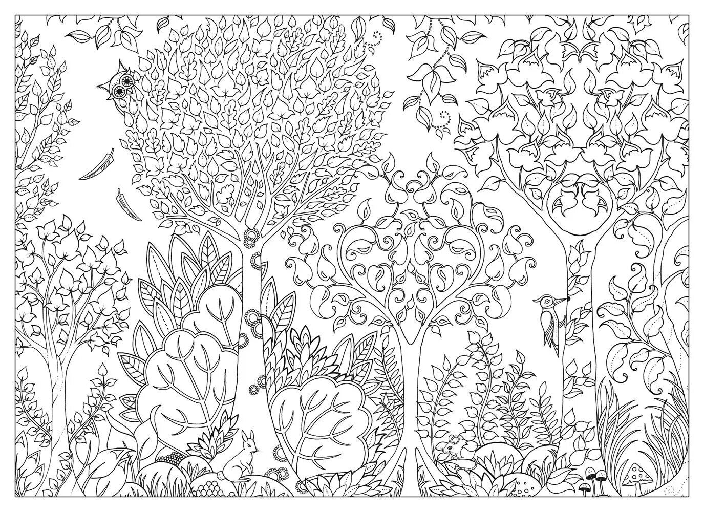 Blissful anti-stress forest coloring book