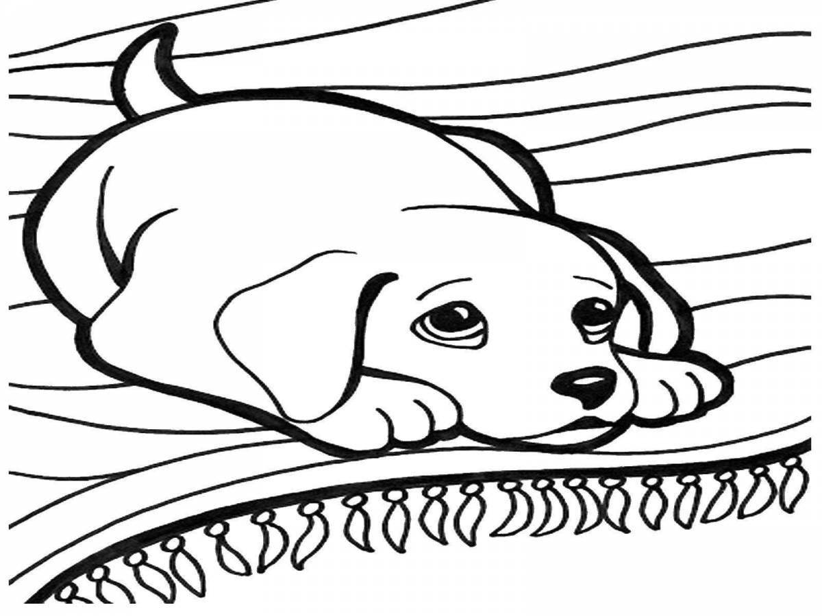 Live coloring puppy drawing